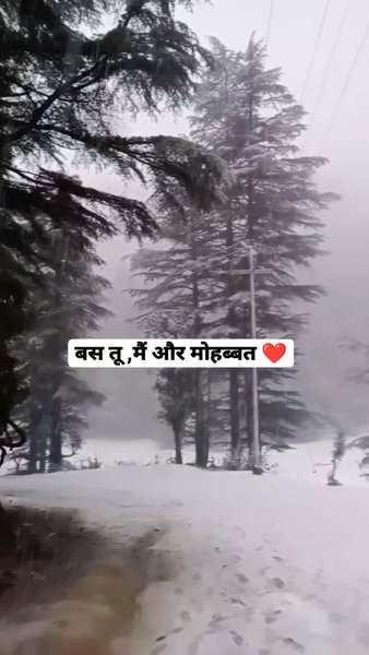 Photo of Snowing February❤