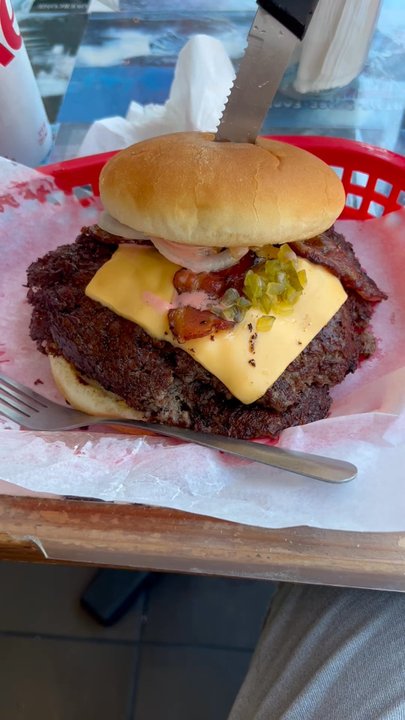 The Region - Handcrafted Hamburgers - Digity Dos and Chili Cheese Fries - Burgers Near Me - Chicago, Illinois