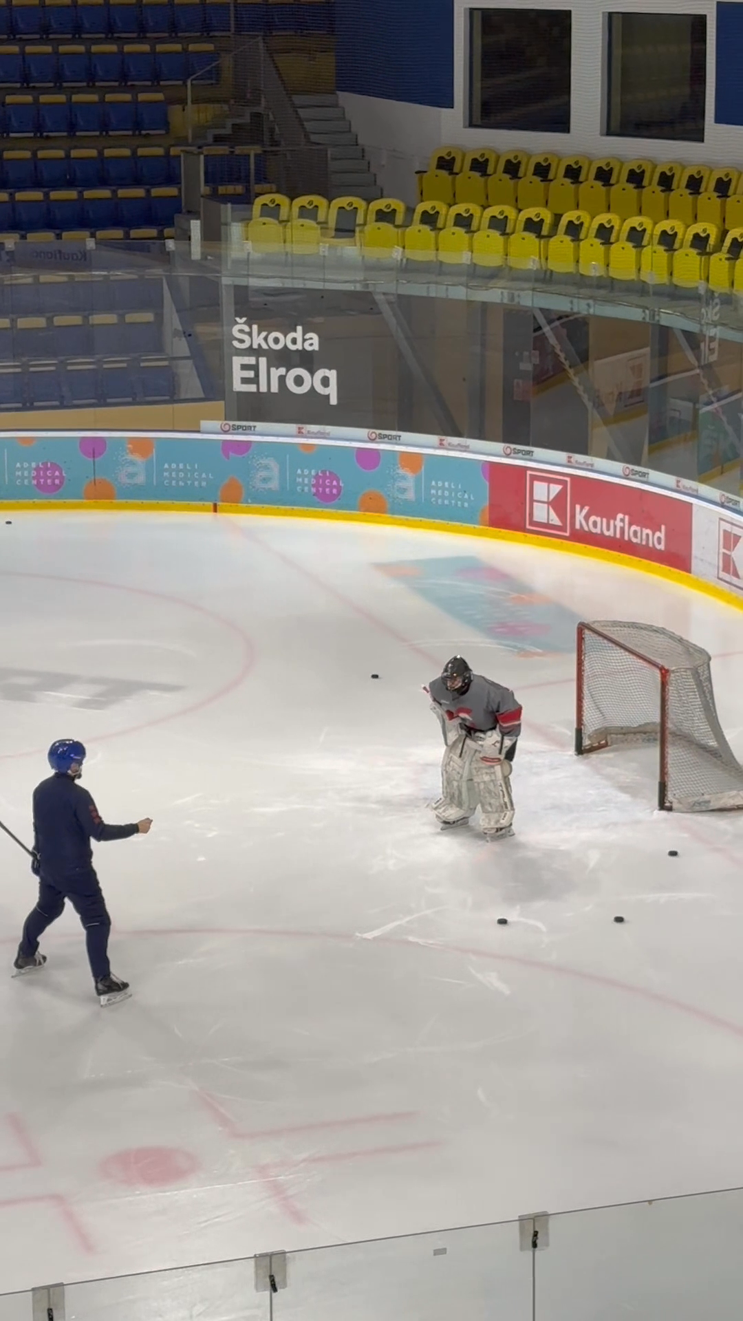 Andrej Gojdic: U18 Goalie Development | Precision Edges & Shot Reads