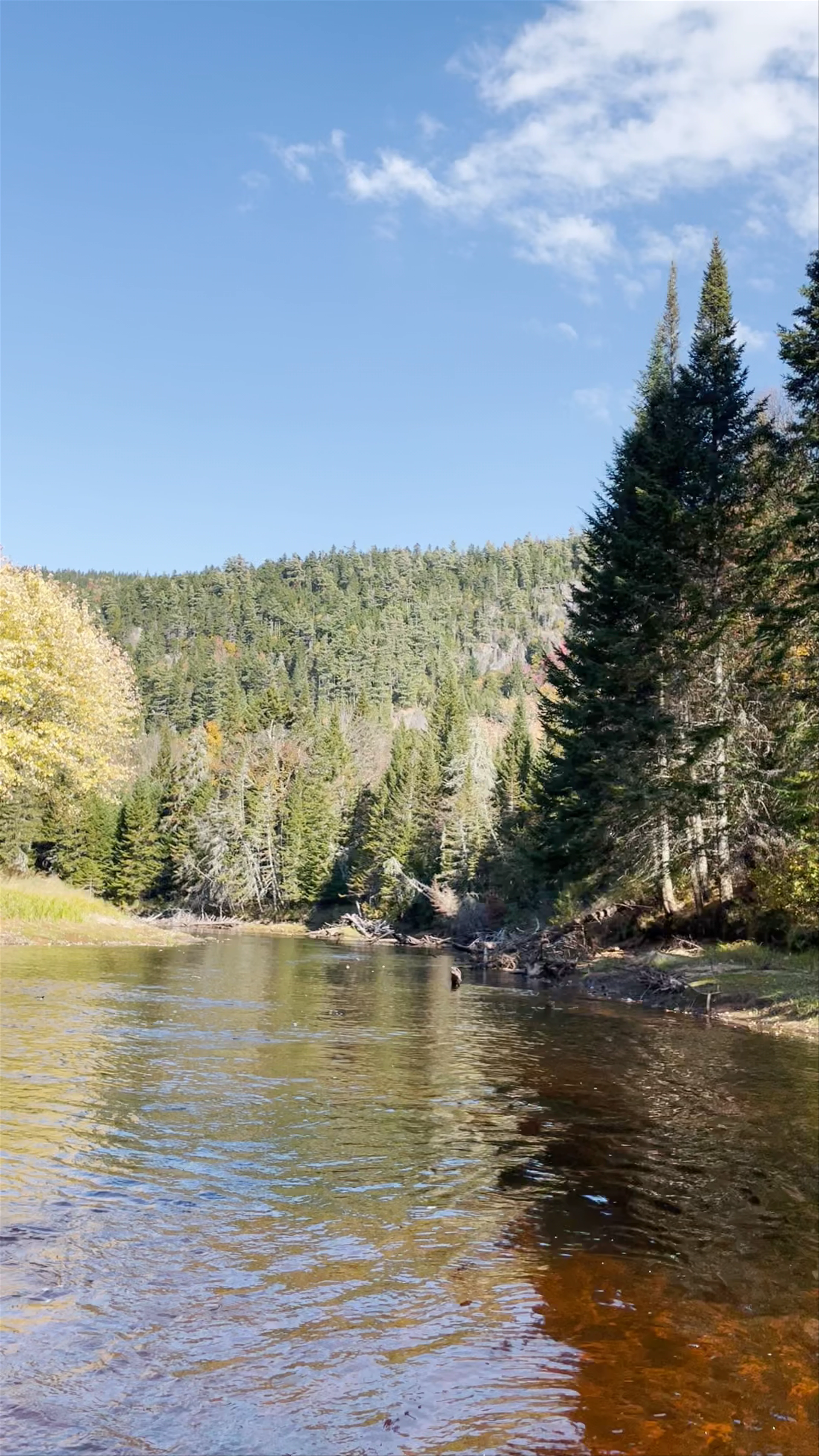 Camping La Sablonnière