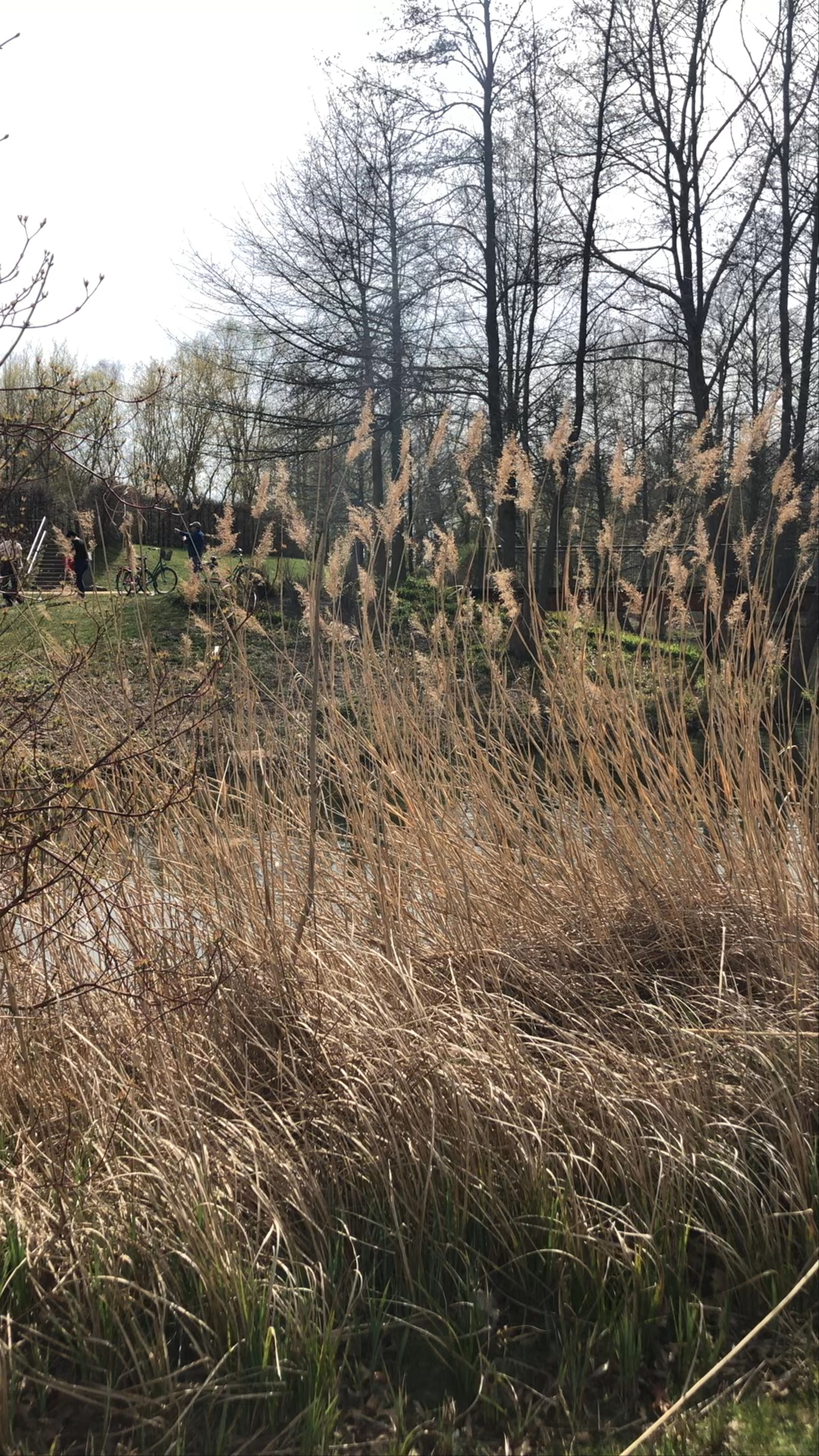 Schlossinsel Lübben