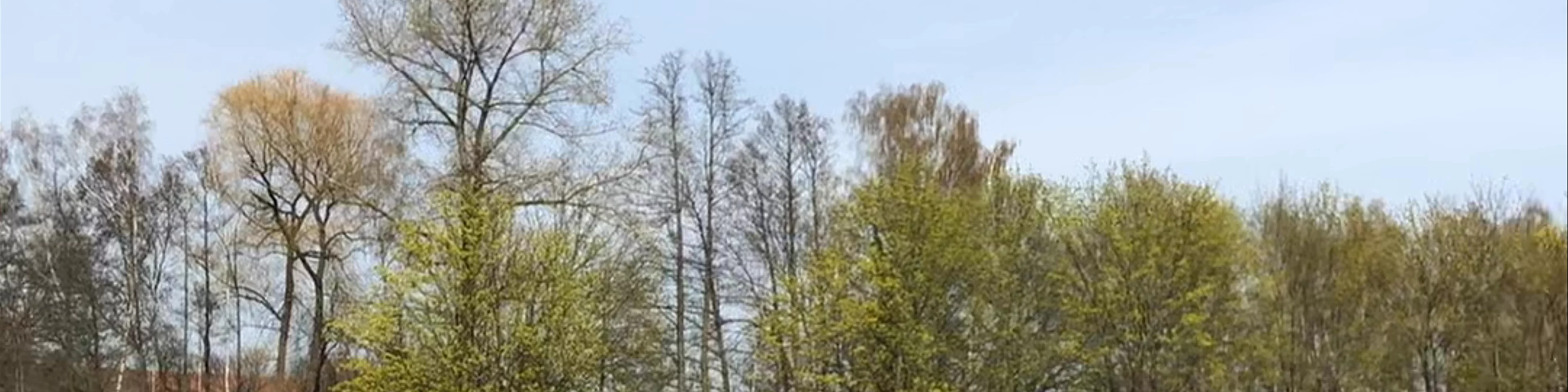 Schlossinsel Lübben