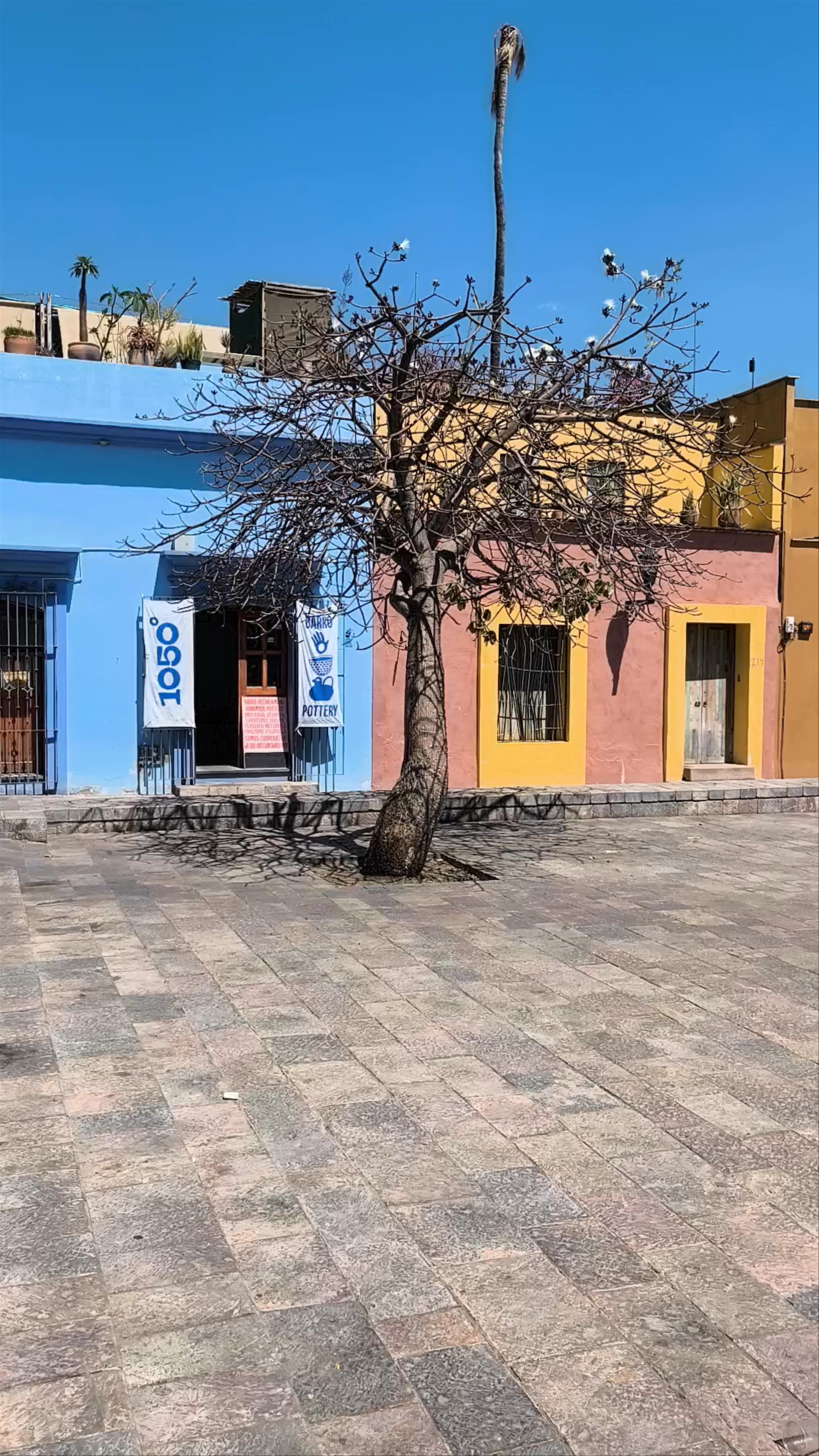 Colorful Streets and Quiet Charm at Acueducto de Oaxaca