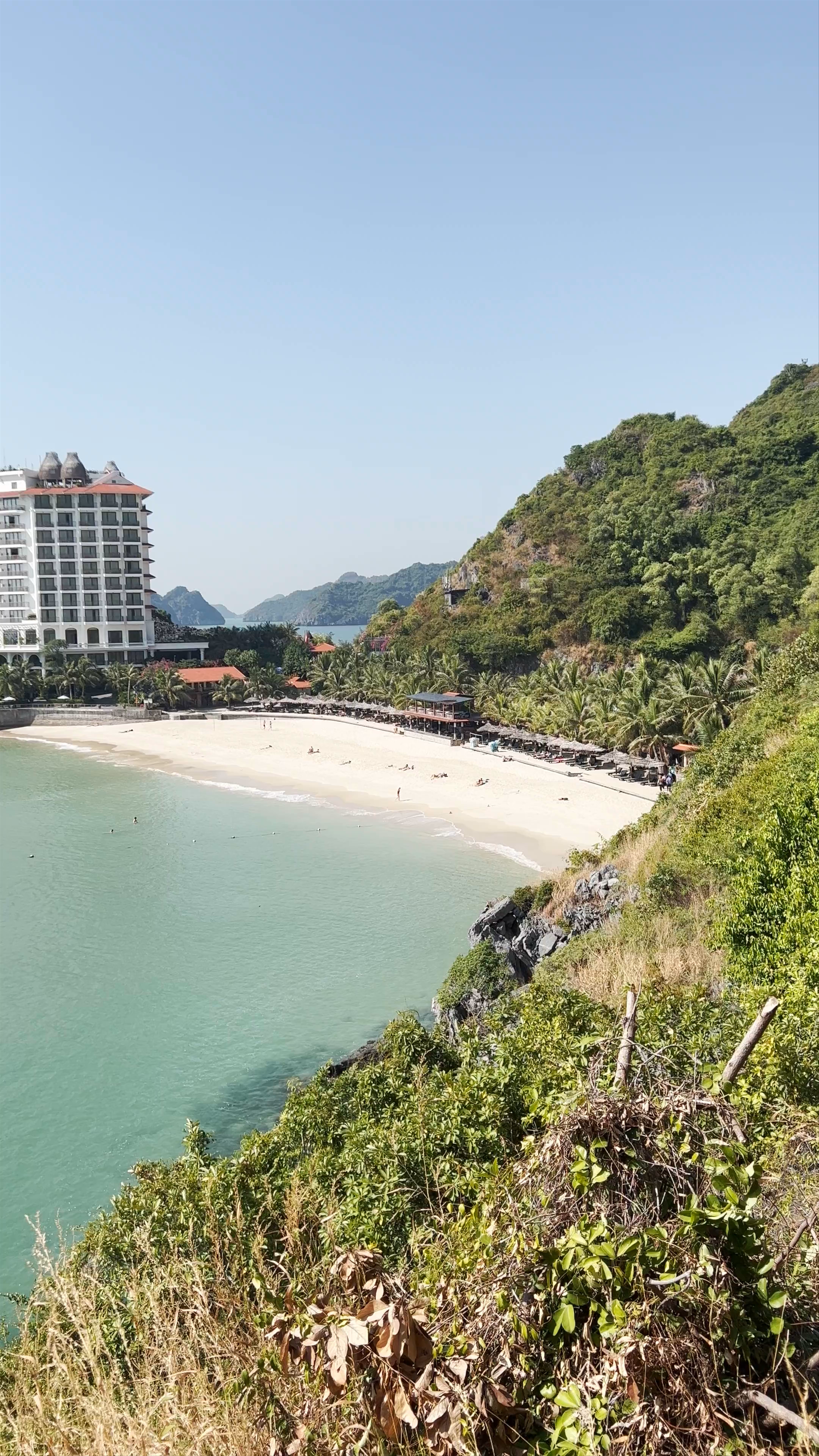 Cat Co 3 Beach