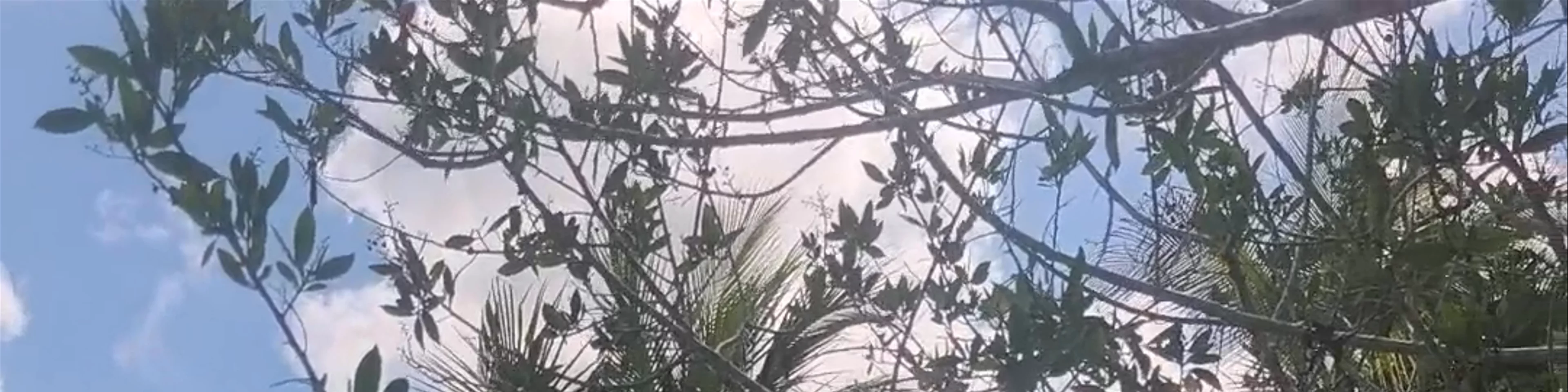 Los Rápidos de Bacalar