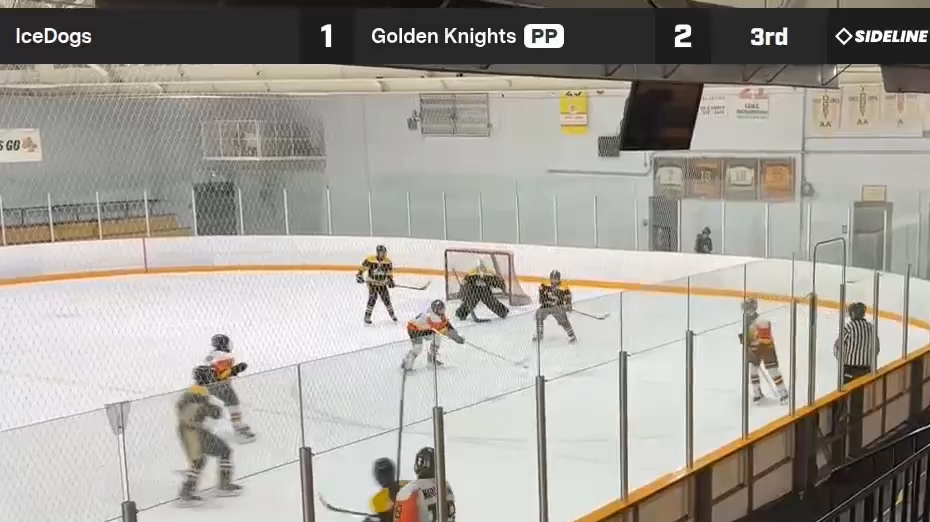 Emily Hughes 2012: 3rd period PK save. Look at that control!