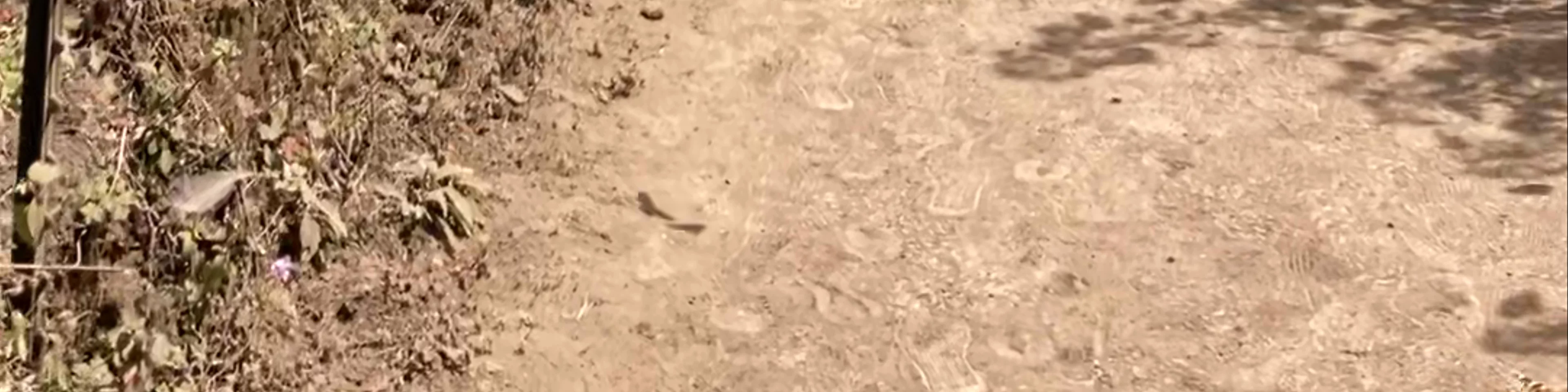 Reserva de la Biósfera Santuario Mariposa Monarca