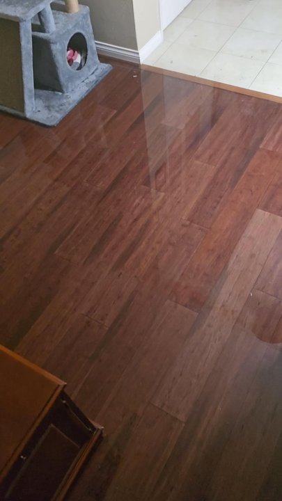 Four SD Construction - Video of flooded living room, hallway, and bedroom - General Contractors Near Me - Spring Valley, California