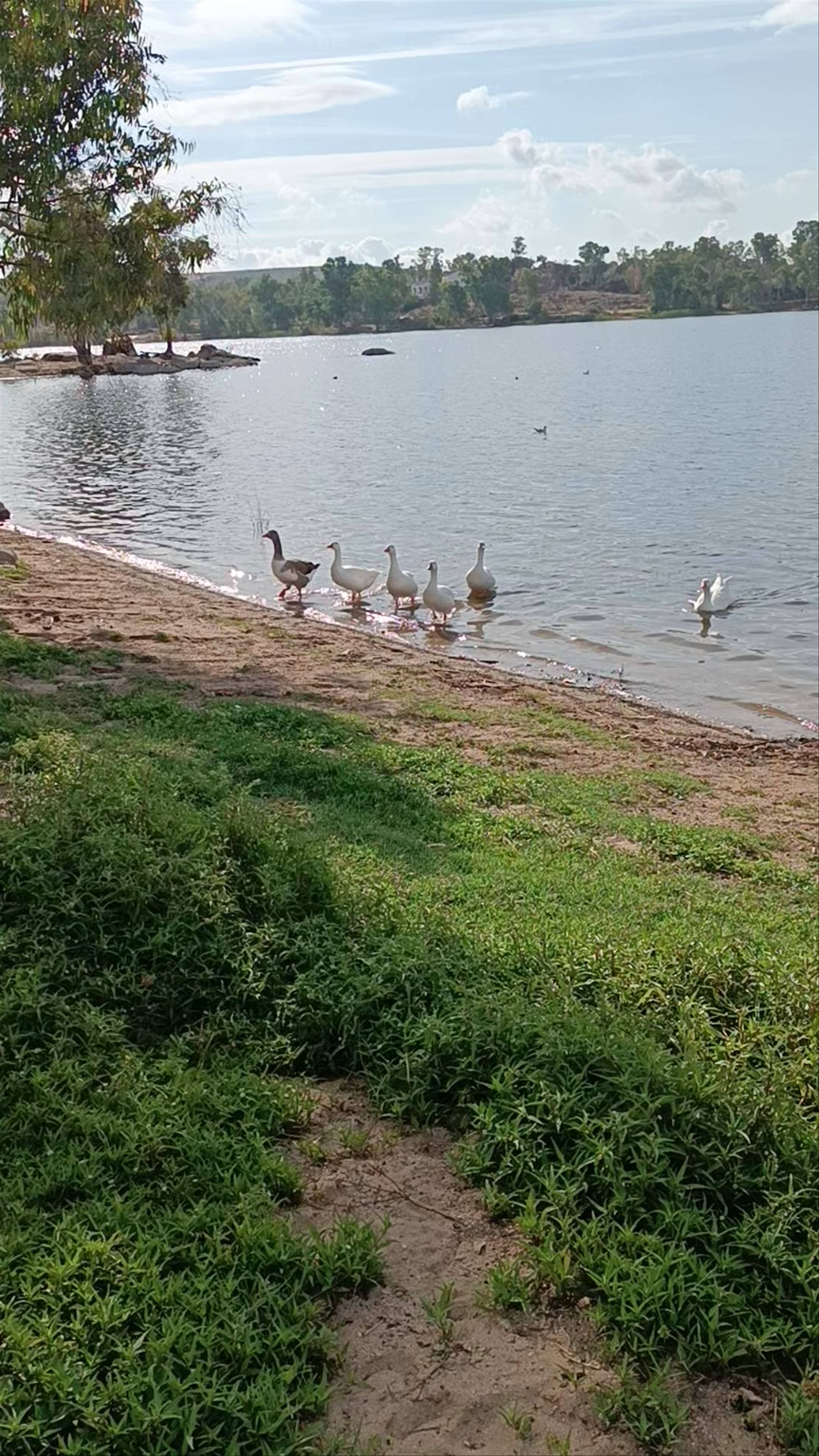 Pantano de Proserpina