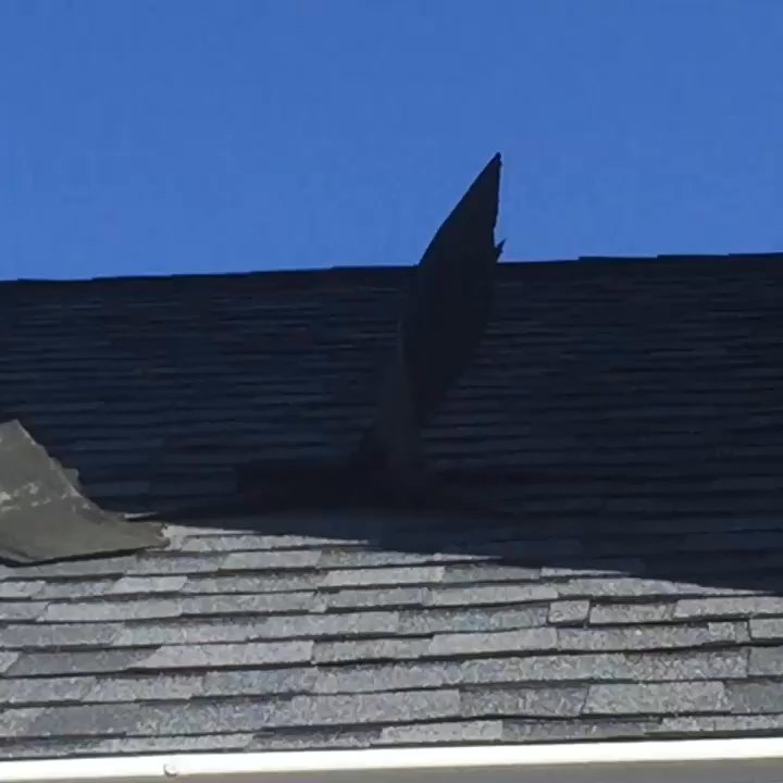 William C Rott & Son - Winds blowing off our "new" roof - Roofing Near Me - Tonawanda, New York