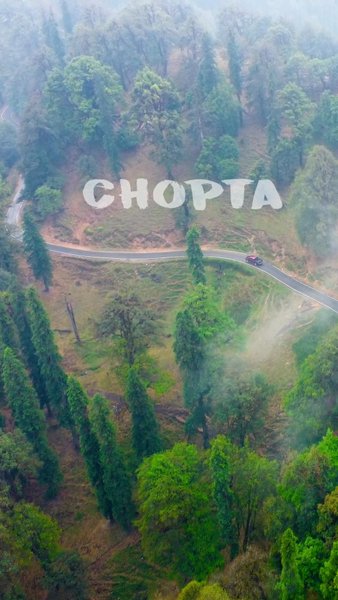 Photo of Chopta !! a dream mo
