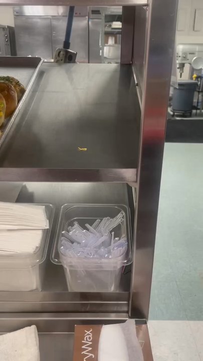 Tri-State Bagels - NY/NJ style bagels! - Bagels Near Me