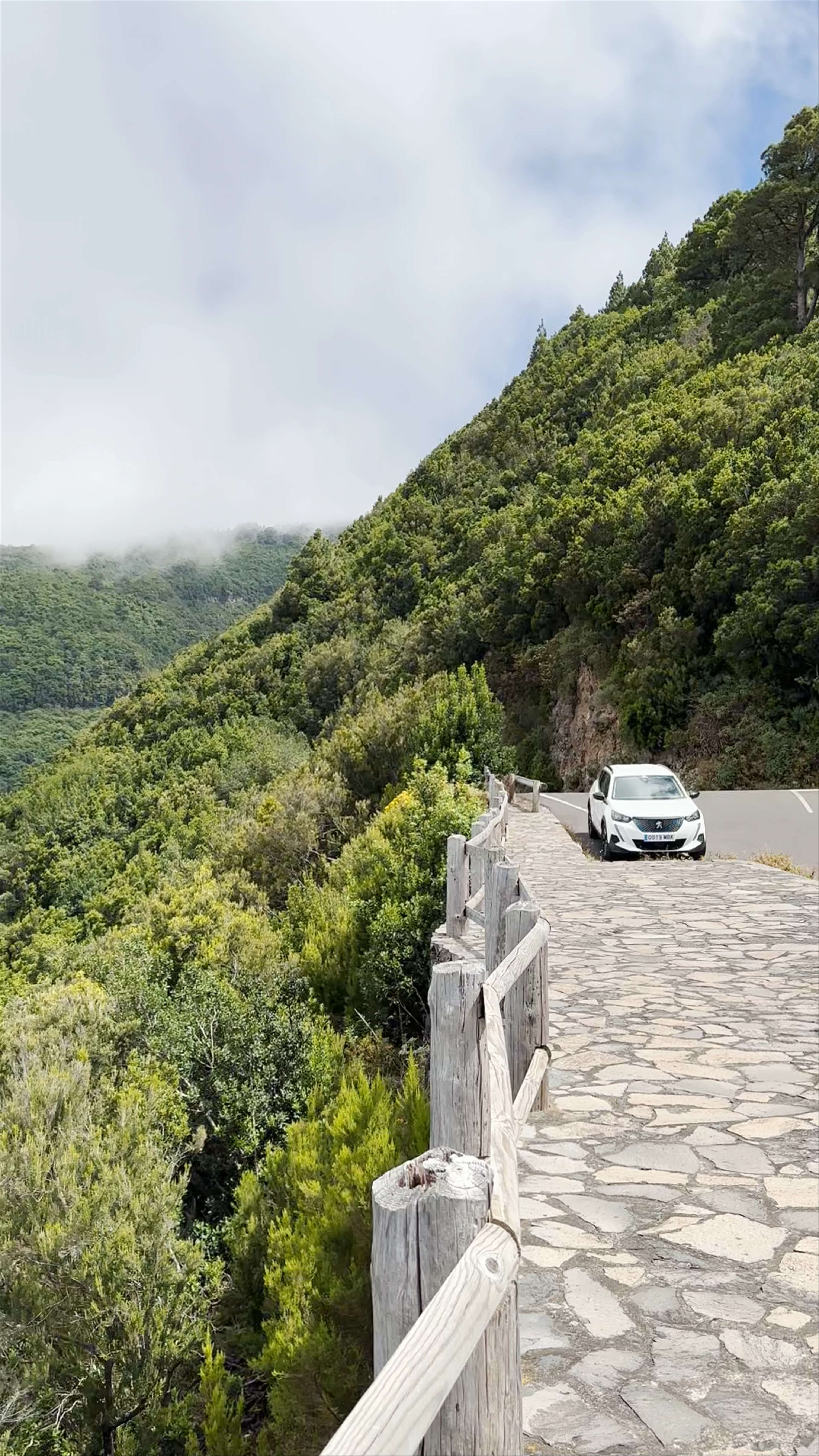 Mirador de las Mimbreras, LP-109, Barlovento, Spain