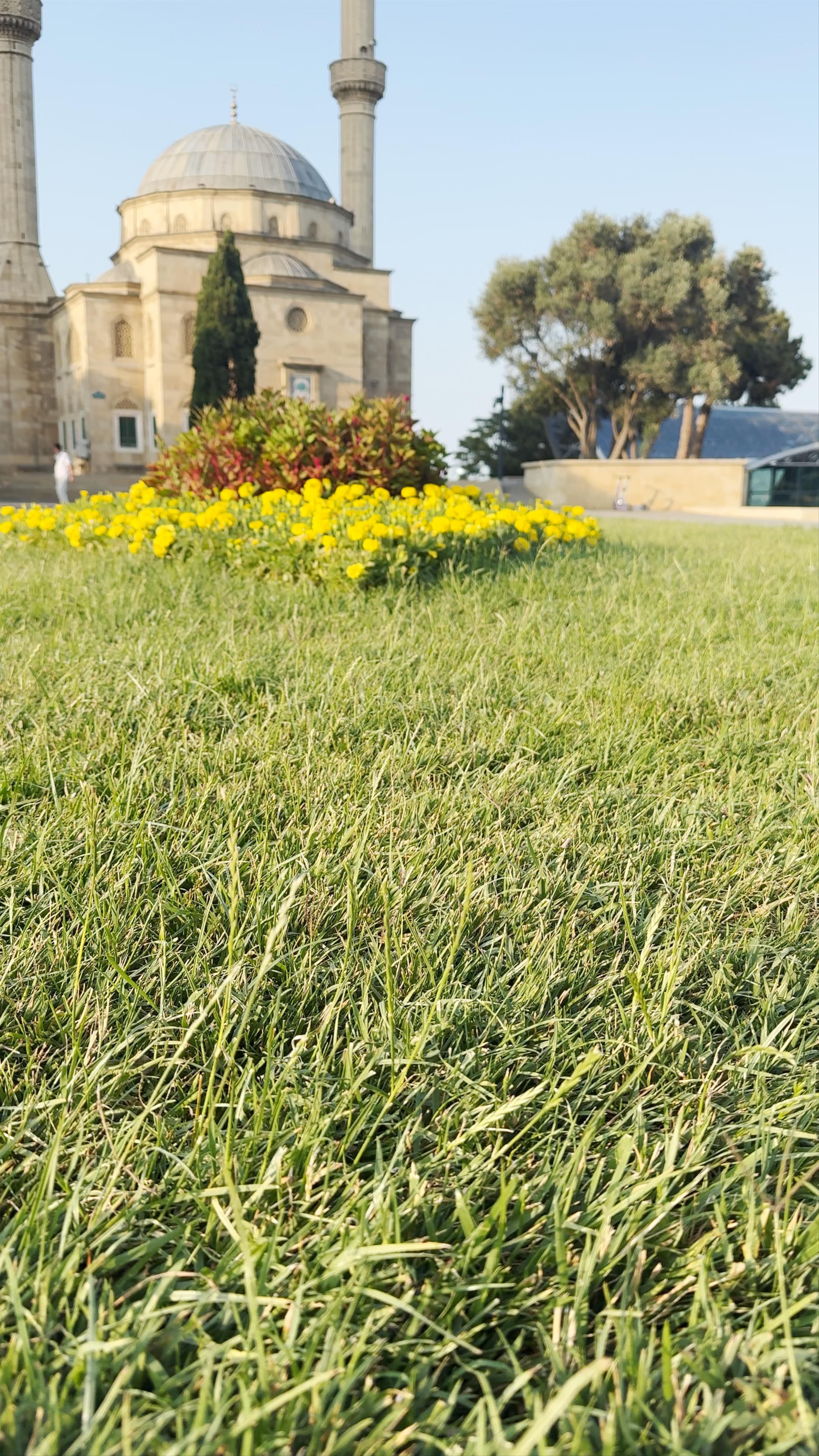 Alley of Martyrs Mosque