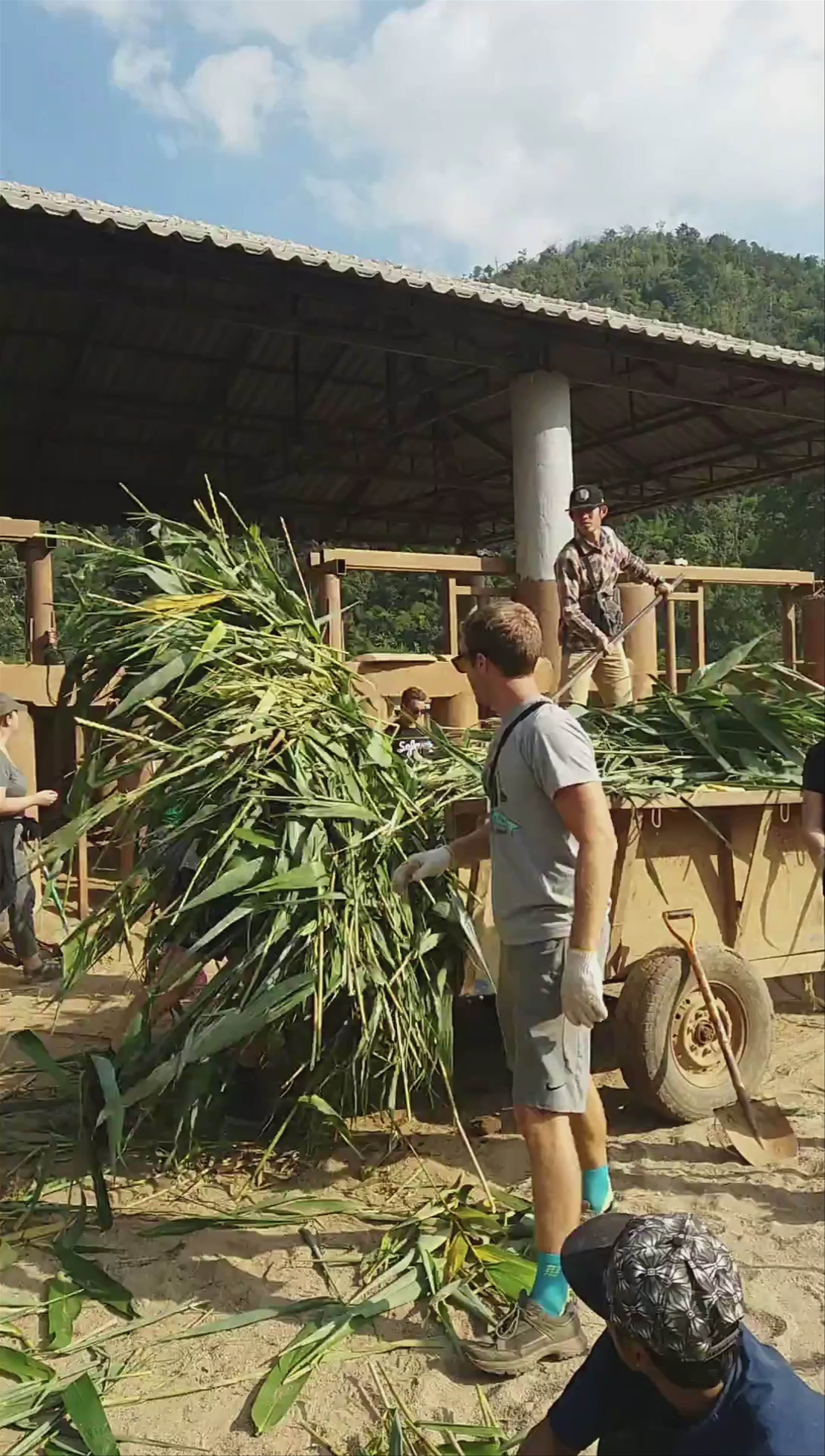 Volunteering at Elephant Nature Park in Chiang Mai, Thailand