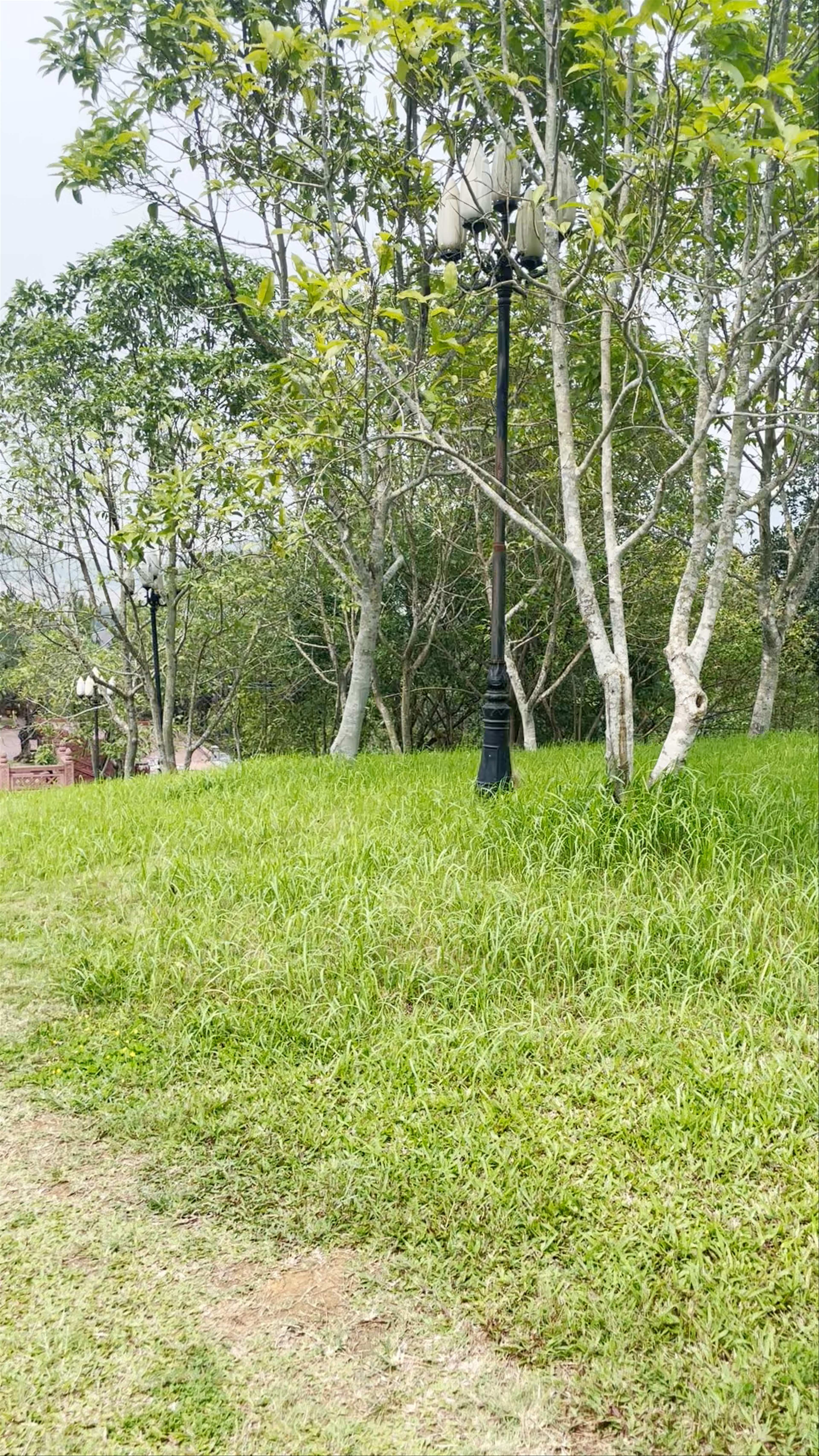 Điểm bán vé Chùa Bái Đính