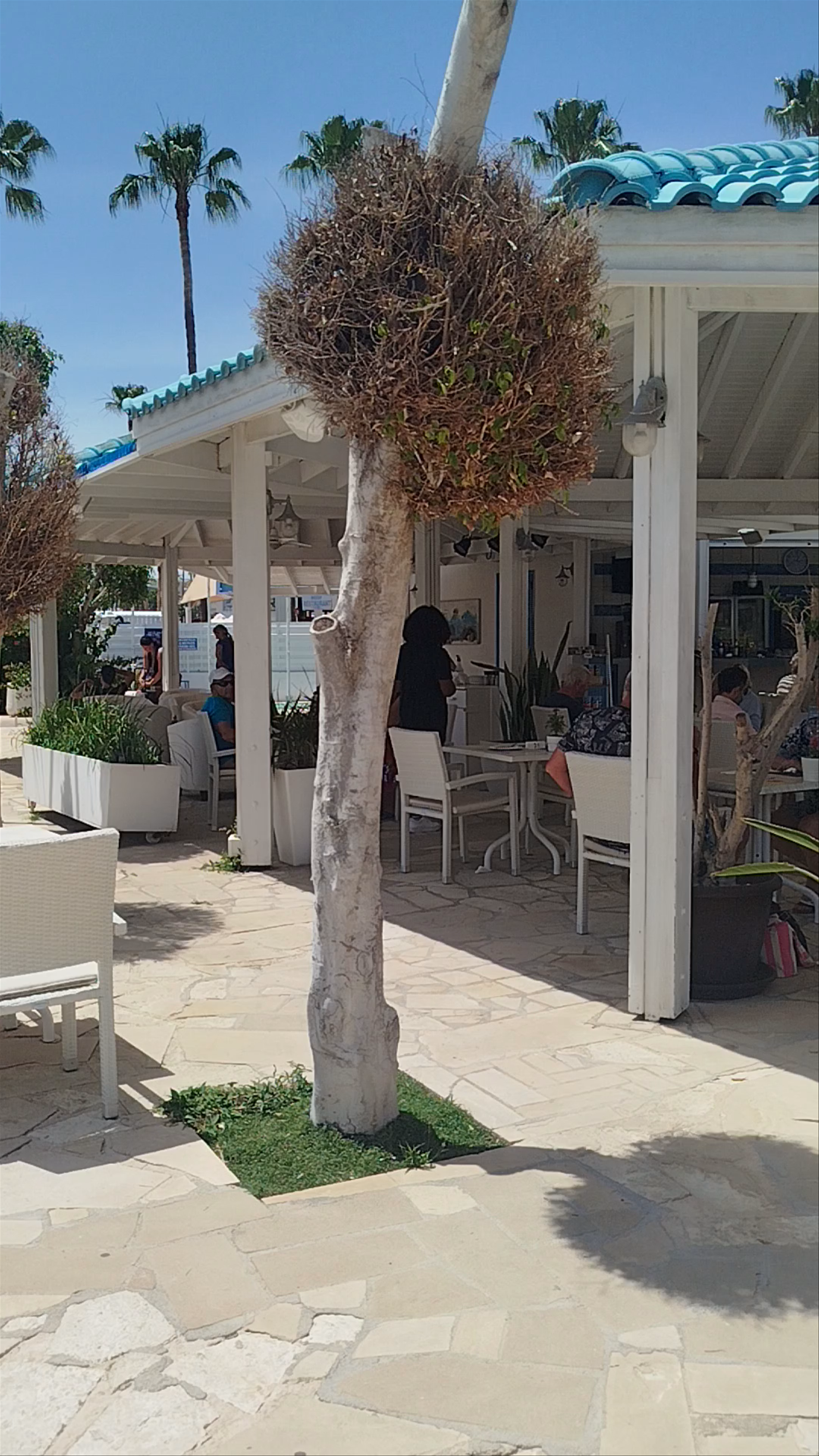 Anonymous Beach Hotel