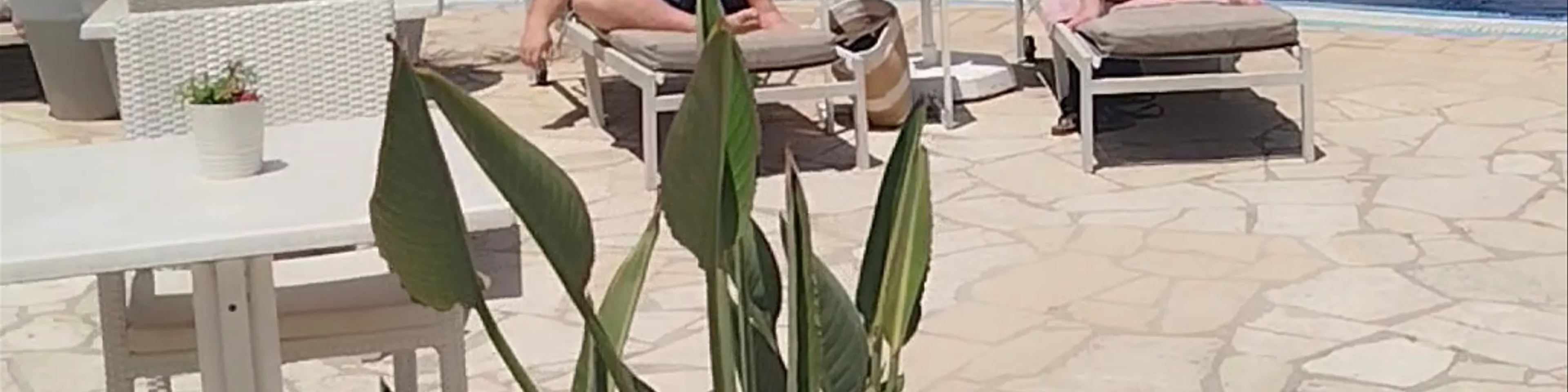 Anonymous Beach Hotel