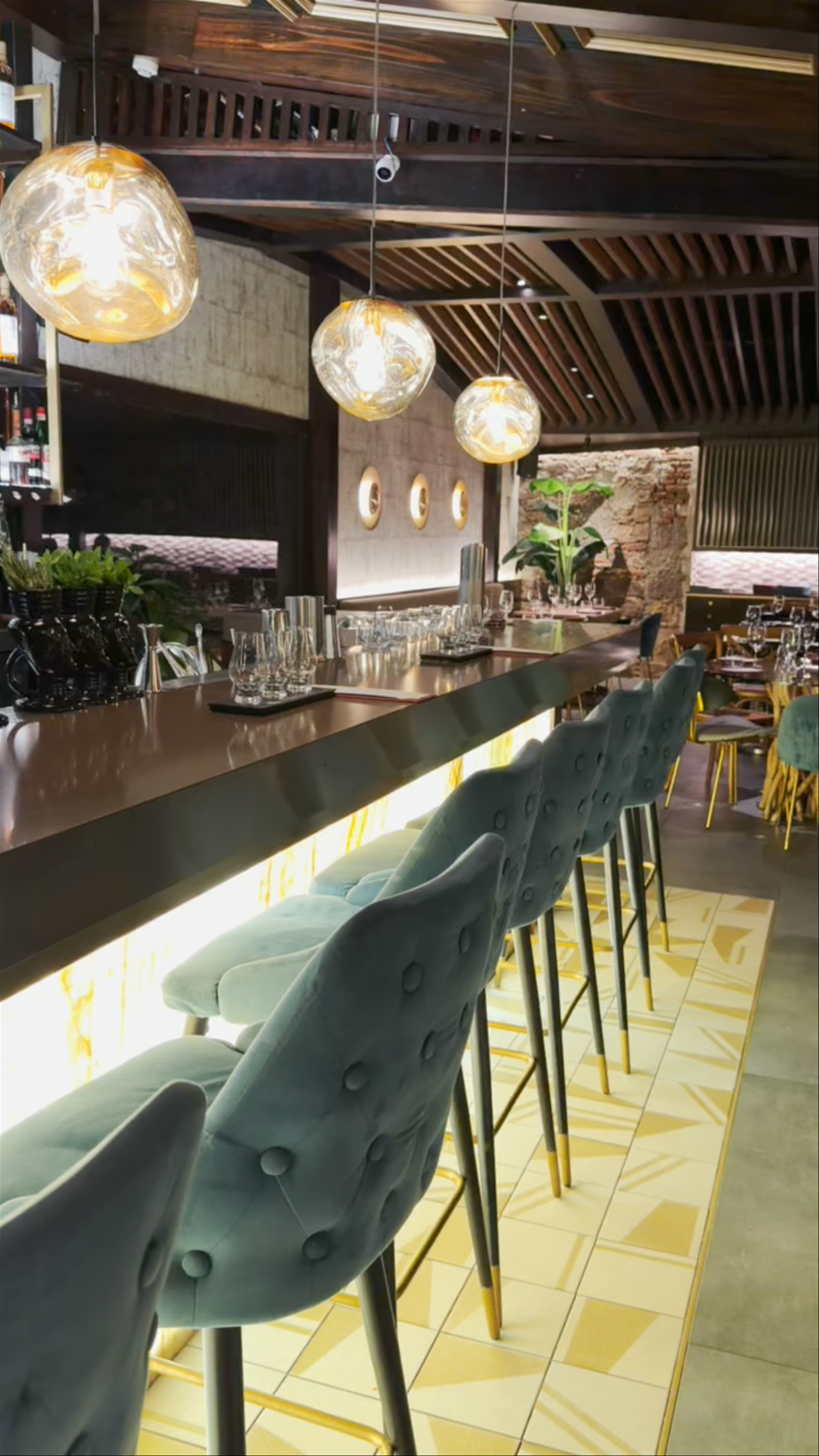 Lazotea Jorge Rausch