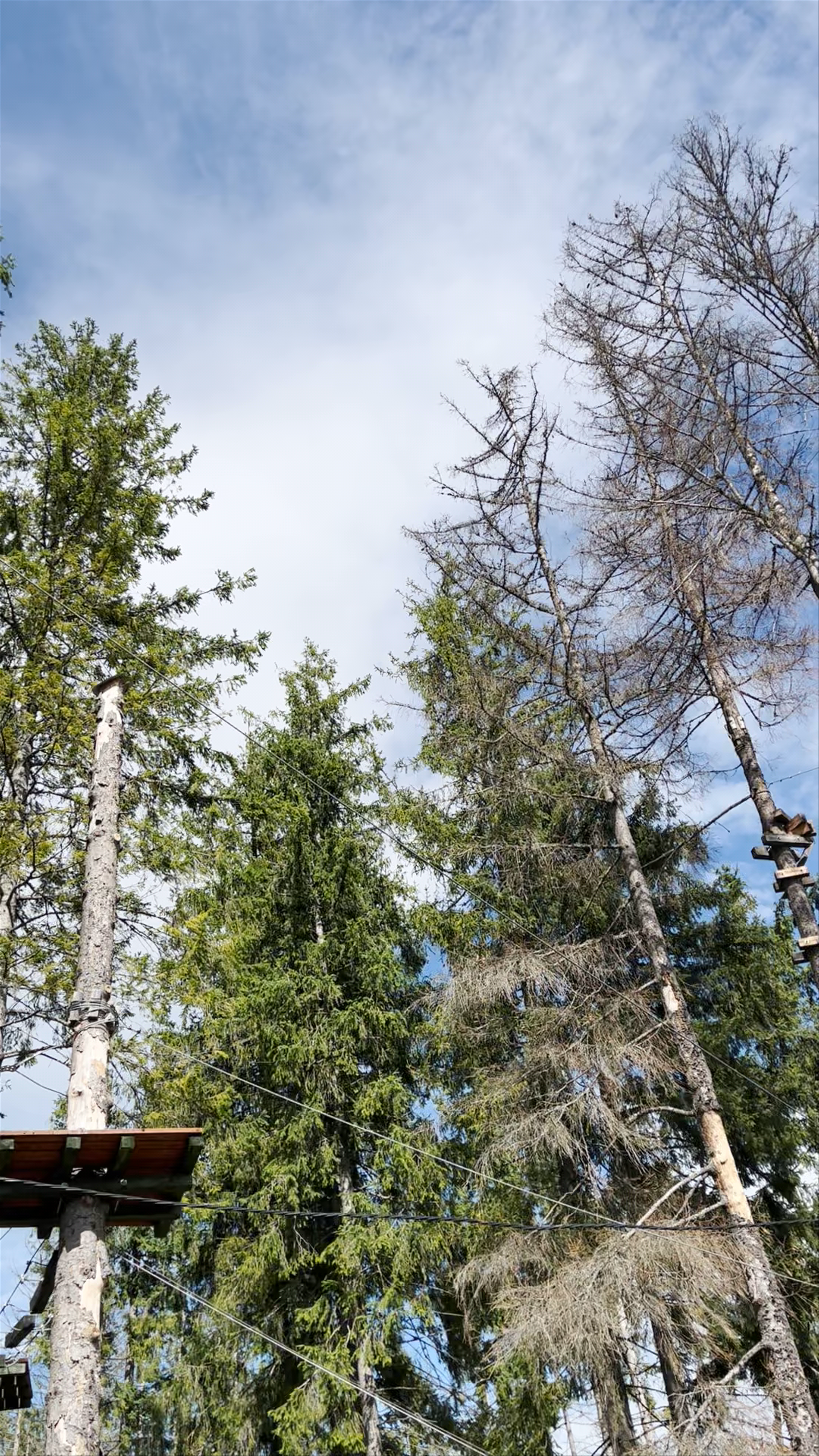 ADVENTURE - Adventure Park Gubalowka