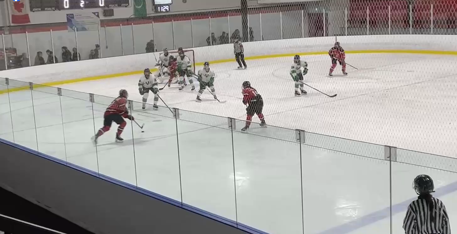 Chico McDonough's 5 Incredible Saves Sequence vs Limoilou U22 #2 in Canada