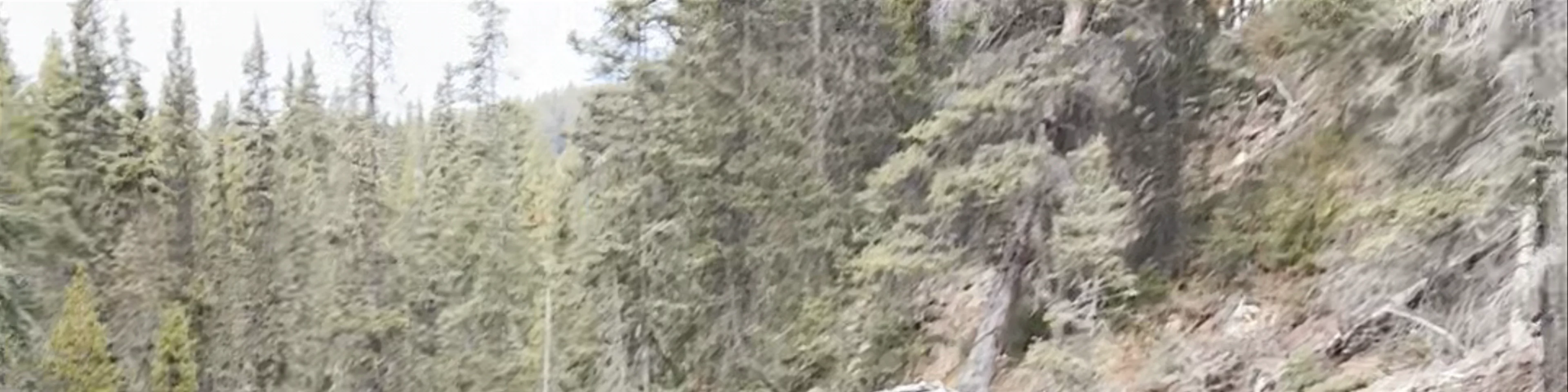 Johnston Canyon