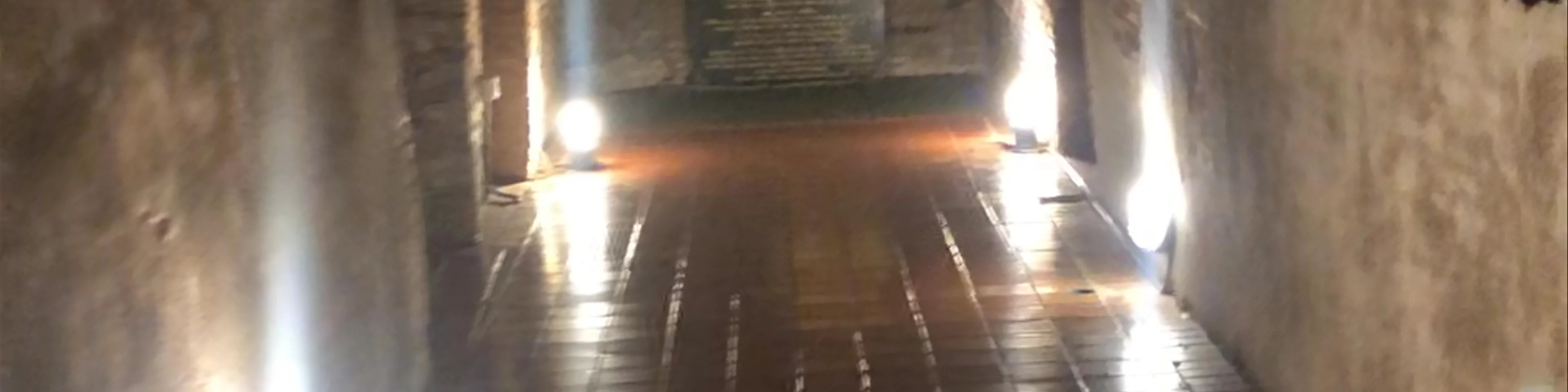 Wat Umong Suan Phutthatham