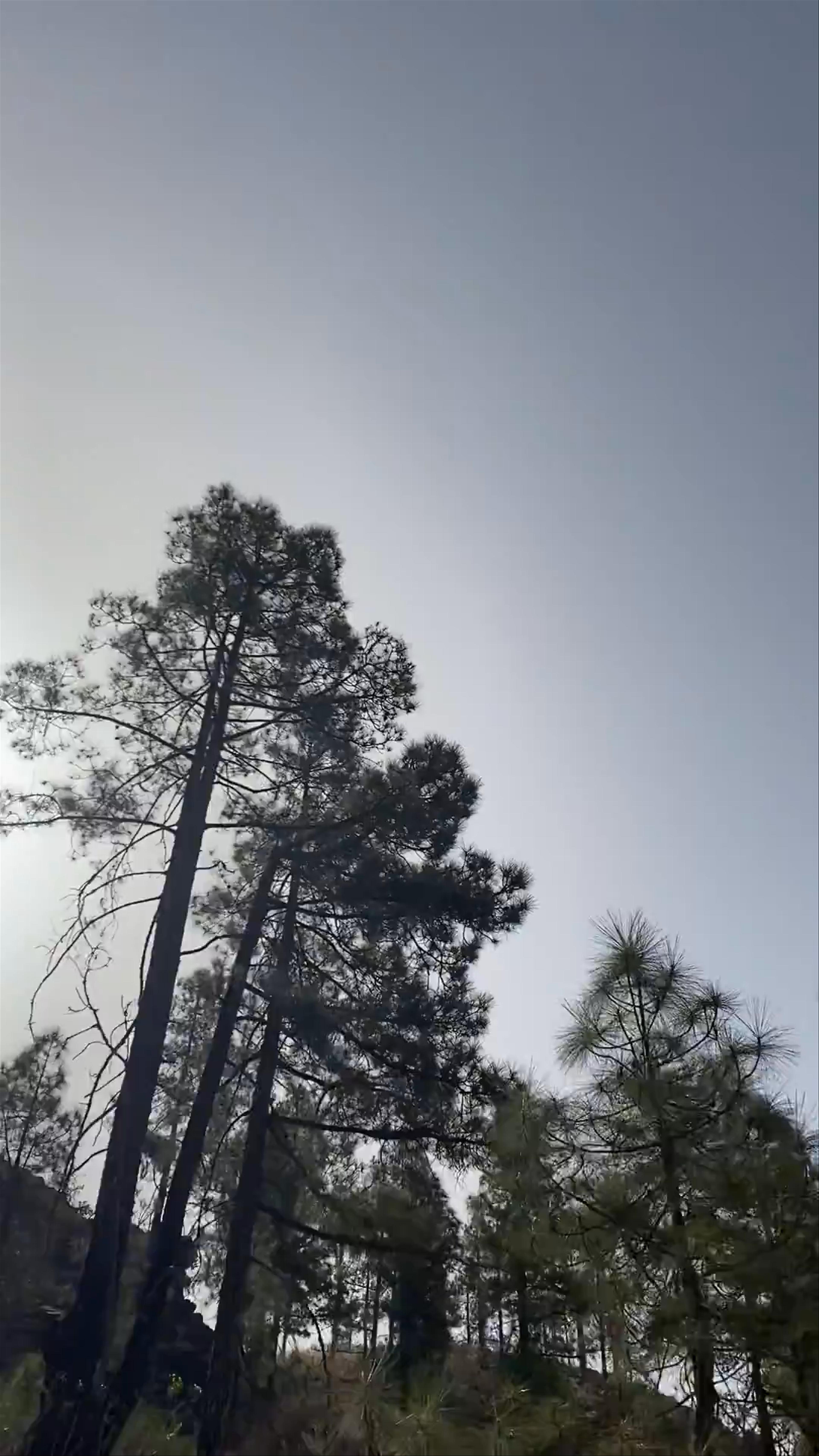 Parque Natural de Pilancones