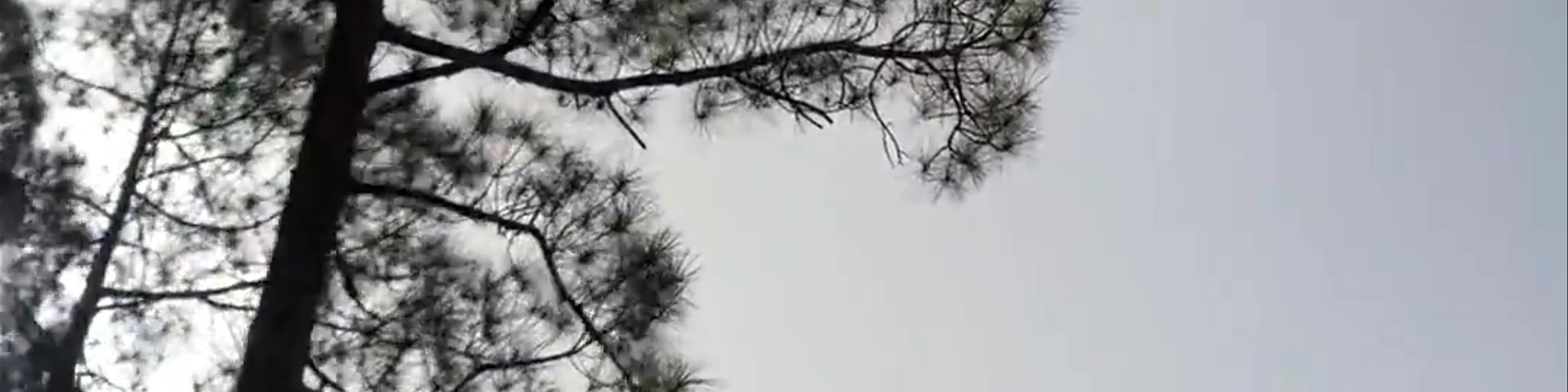 Parque Natural de Pilancones