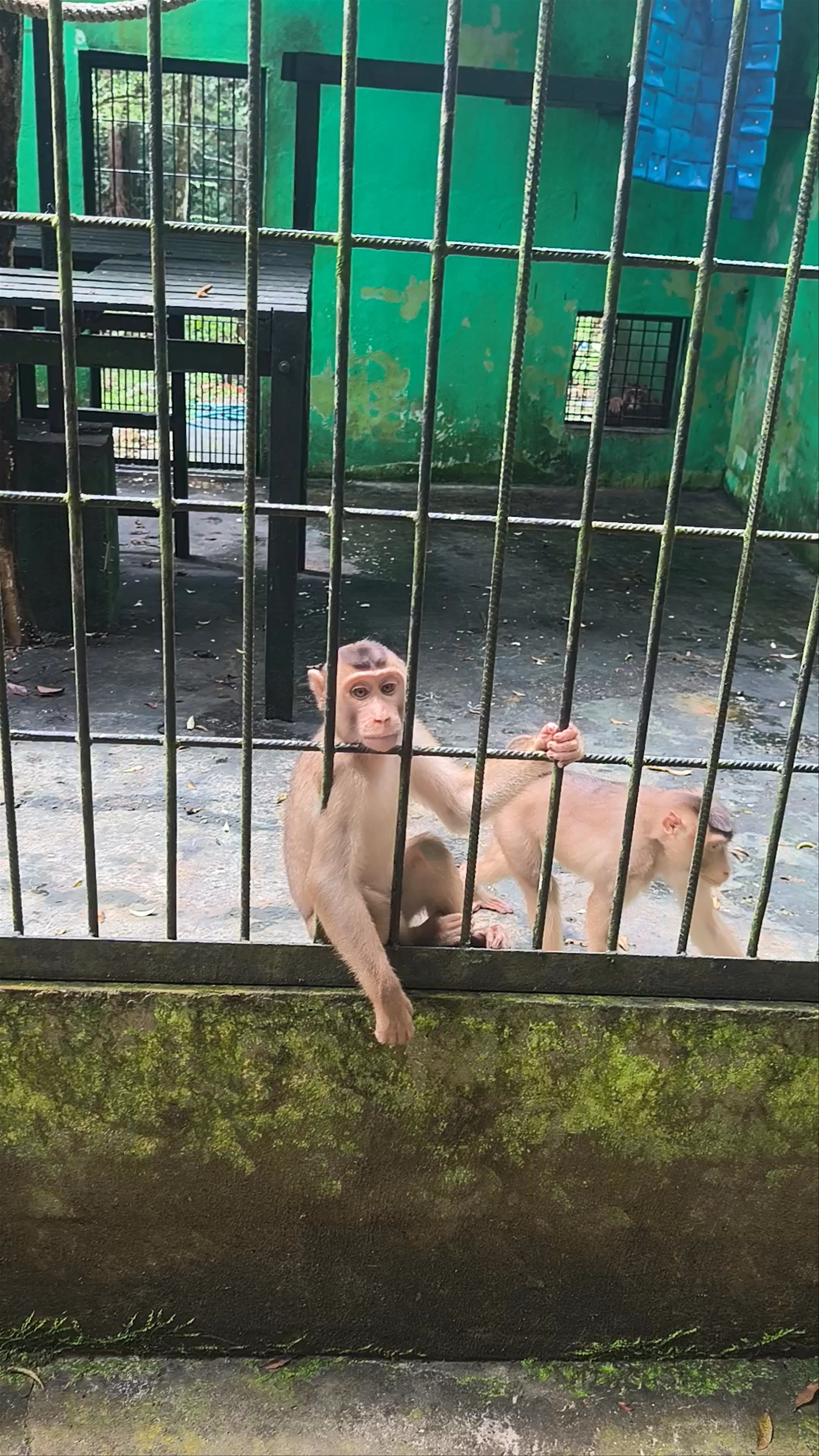 Matang Wildlife Centre