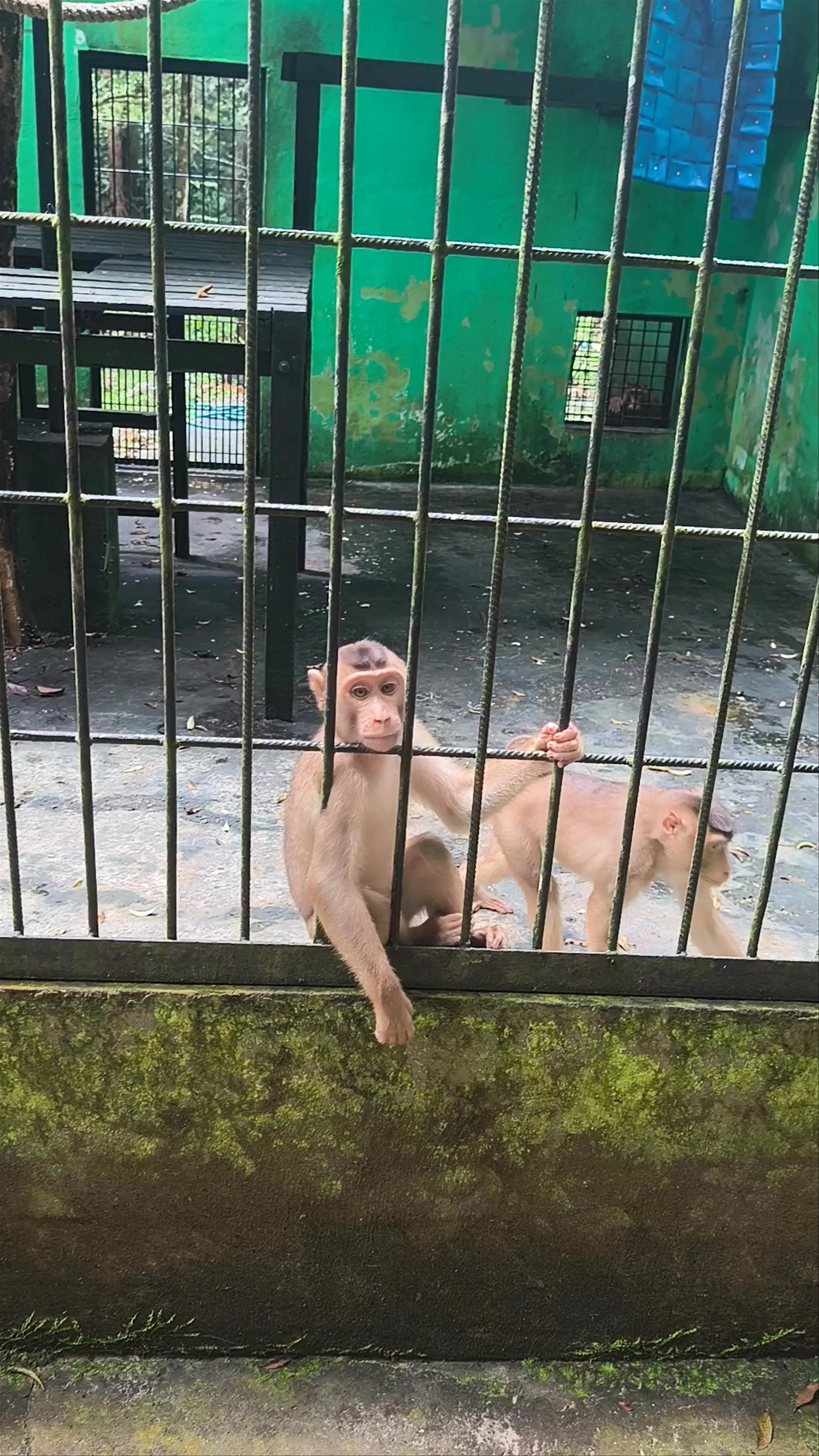 Matang Wildlife Centre