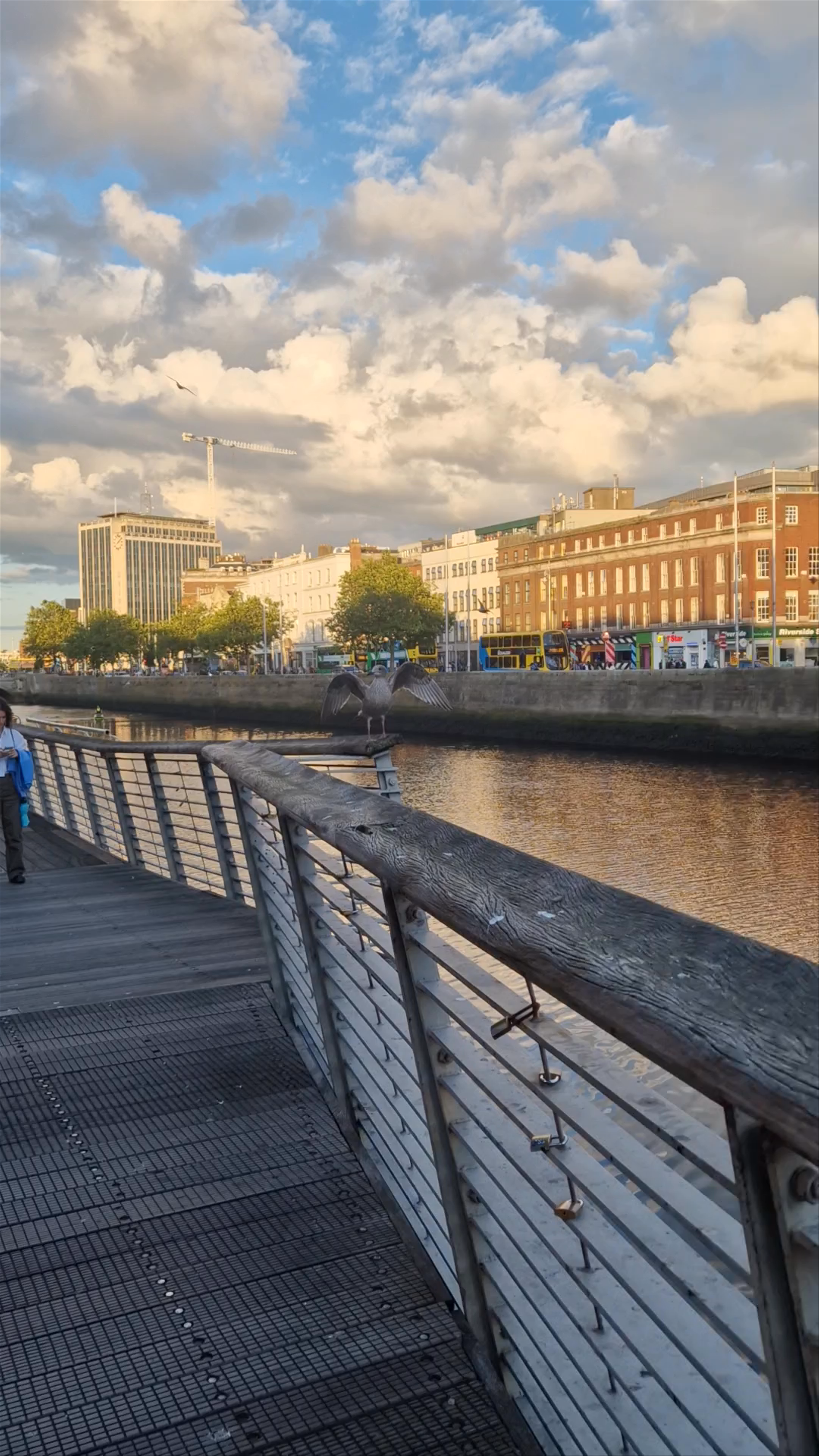 Ha'penny Bridge