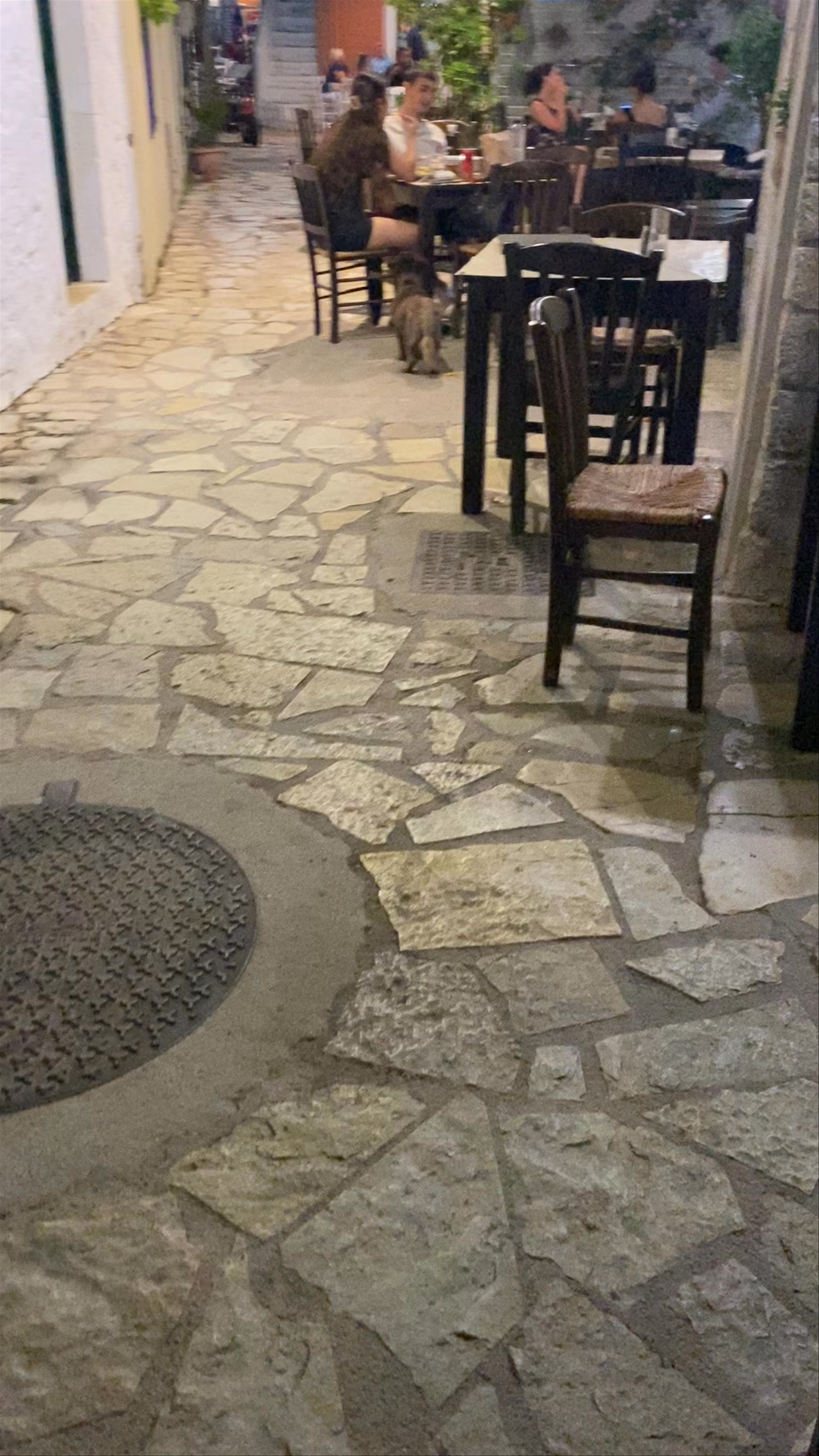 Evening Stroll and Dining in Lakka, Paxos