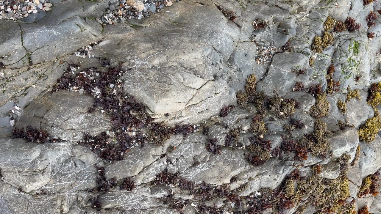 Glass Beach - Miss growing on the rocks - Beaches Near Me
