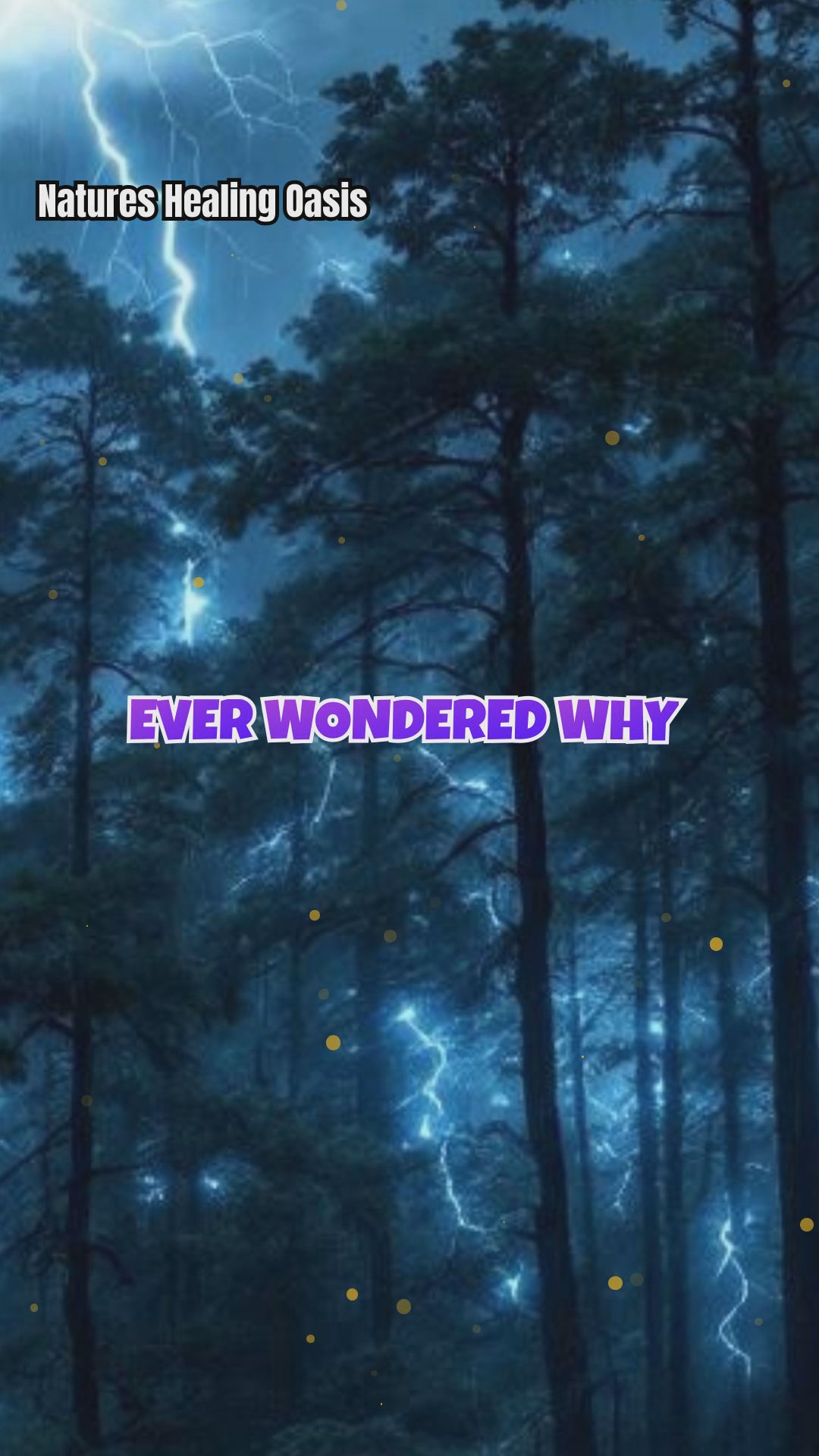 Thunderstorm Synergy: Trees and Human Energy Fields Collide