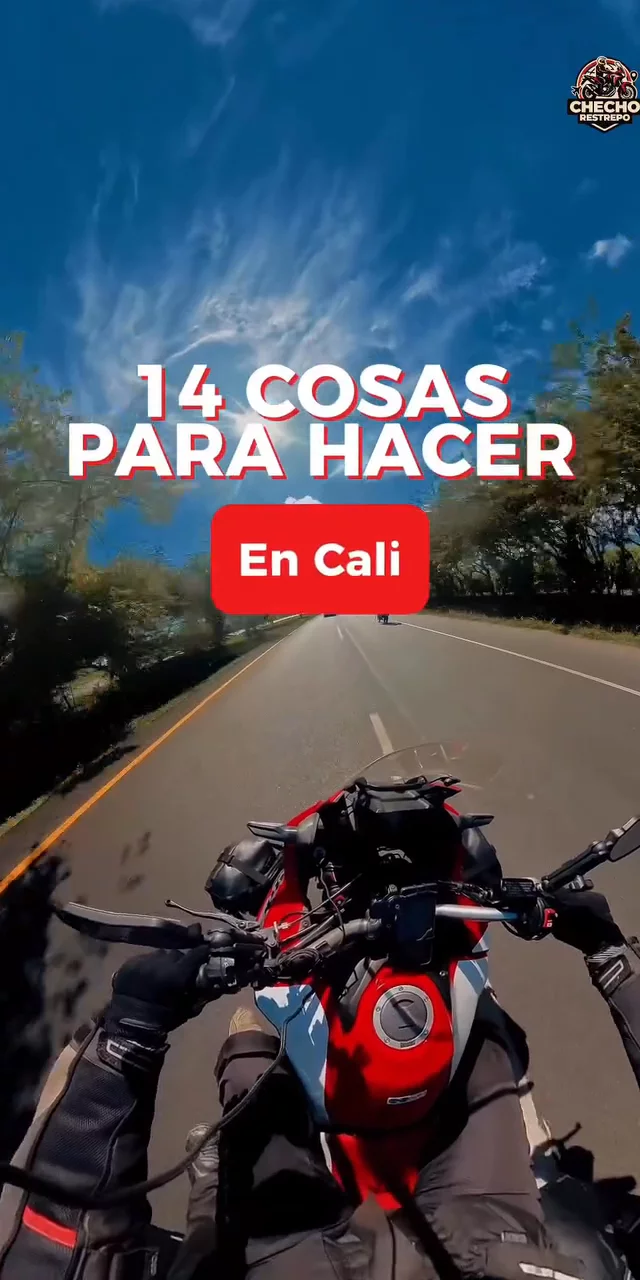 Contenido del creador