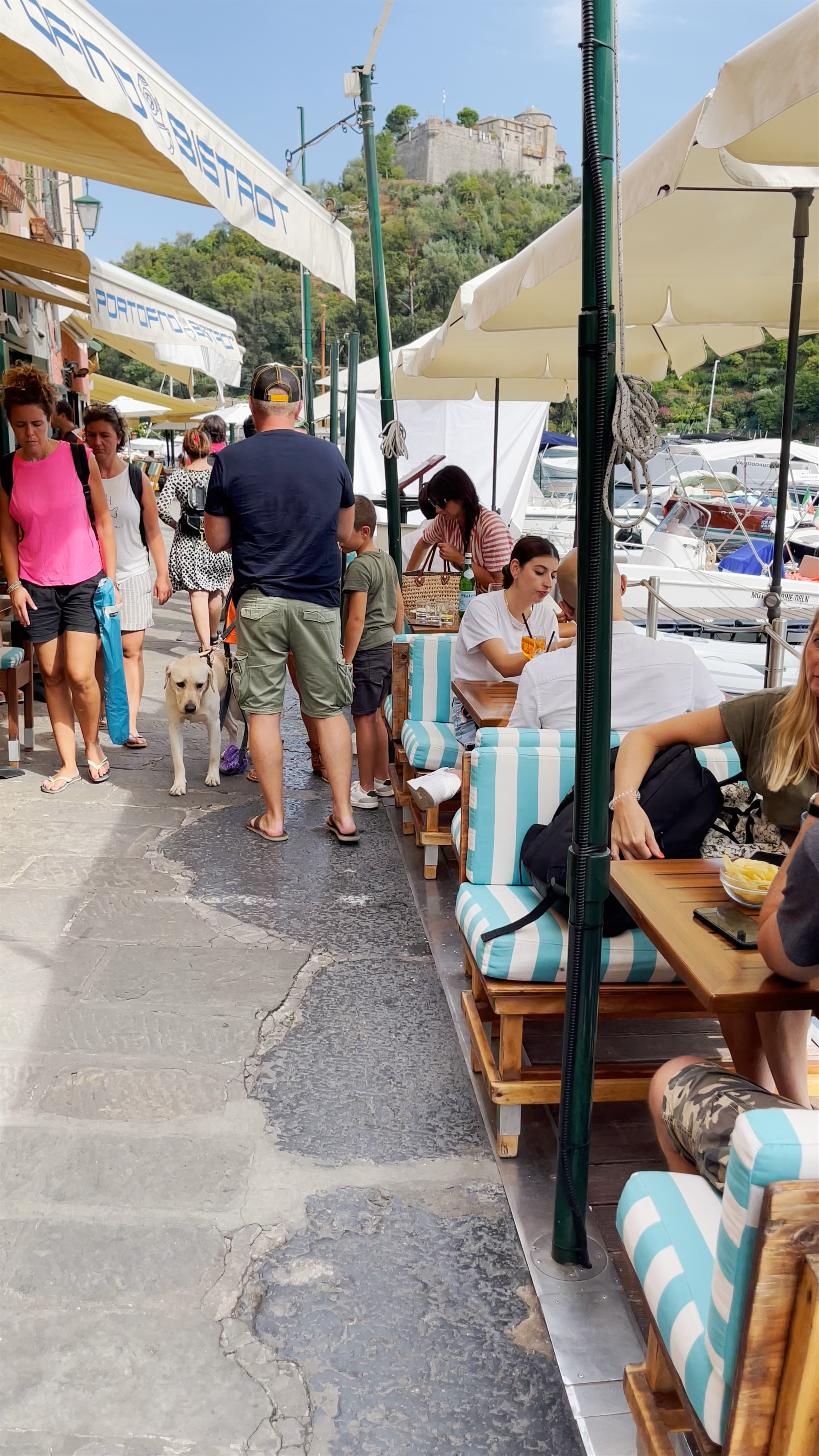 Portofino Bistrot: Charming Seafront Dining Experience in Liguria Italy