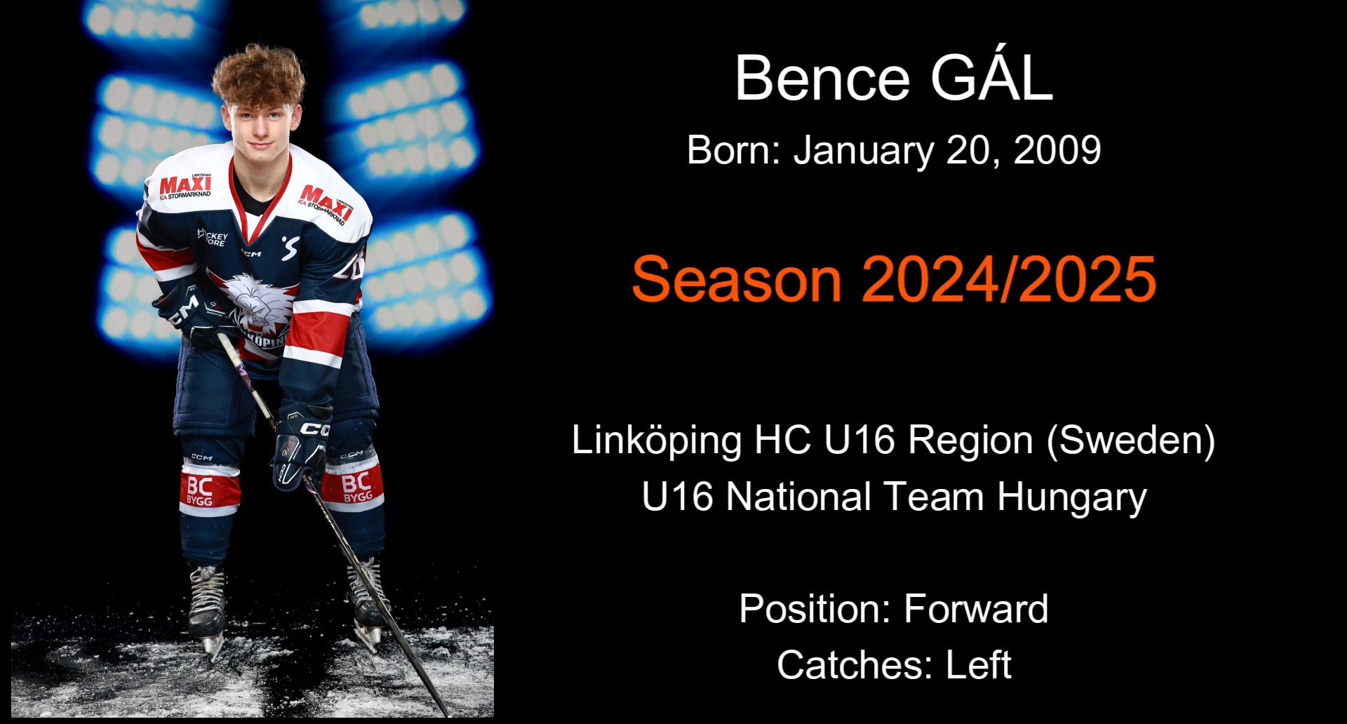 Bence Gál season 2024/2025 selected moments (Linköping HC)