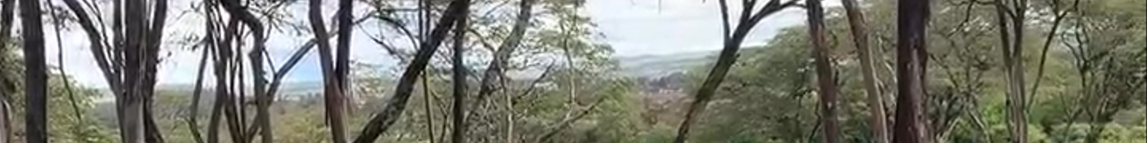 Tours & experiences in Kenya