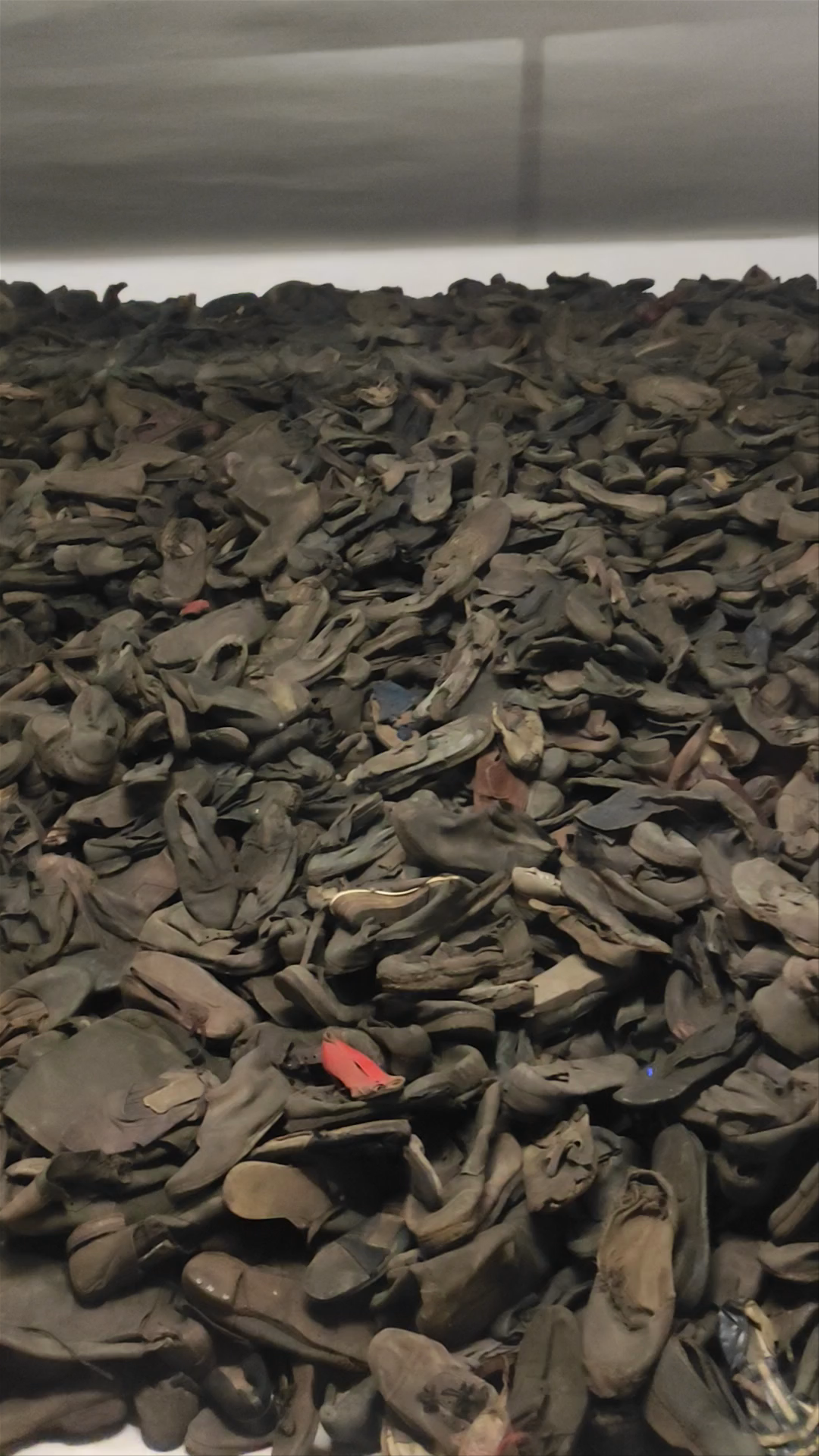 Memorial and Museum Auschwitz I: A Sobering Journey Through History