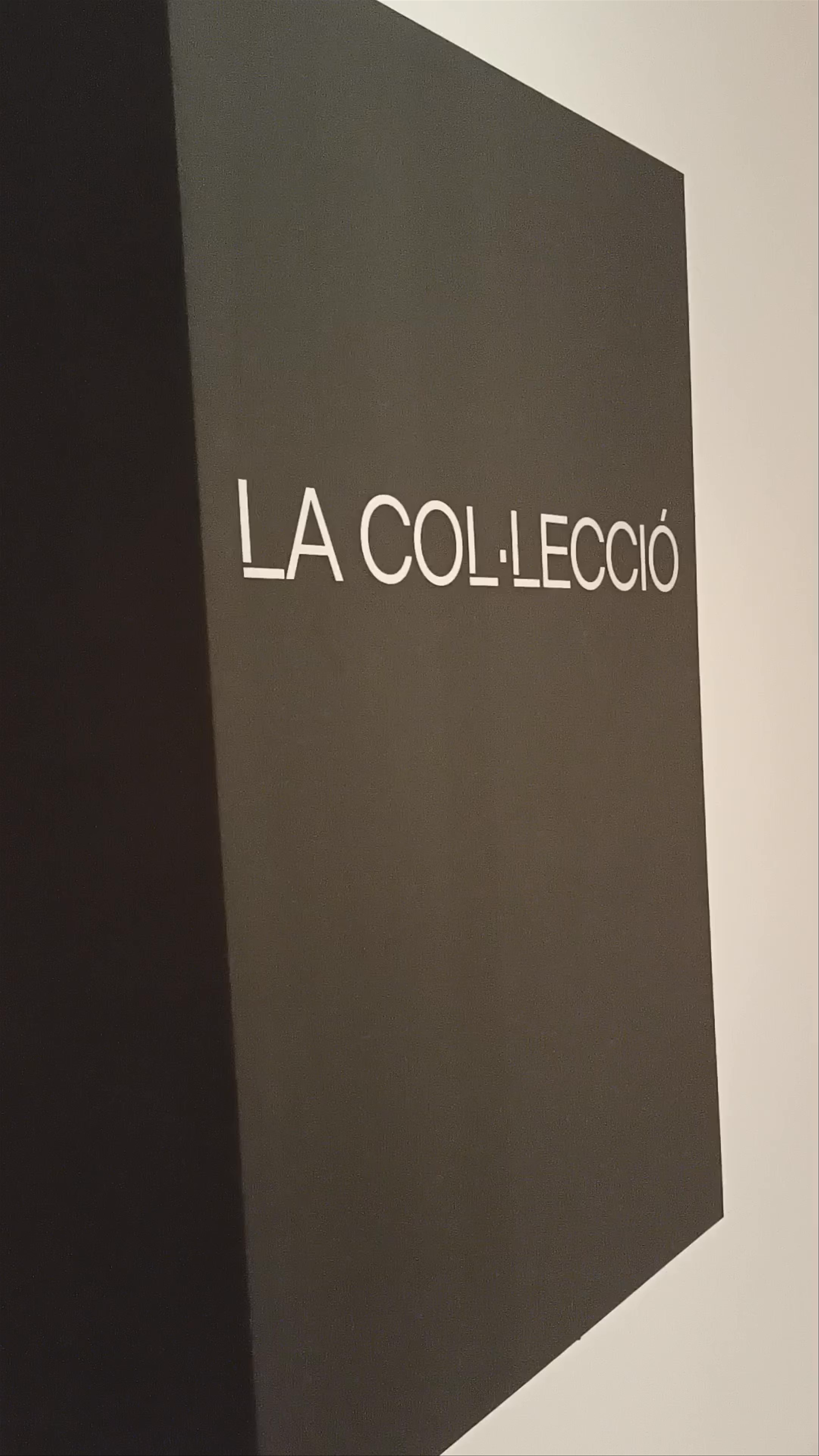 Es Baluard Contemporary Art Museum in Palma: A Journey Through Modern Creativity