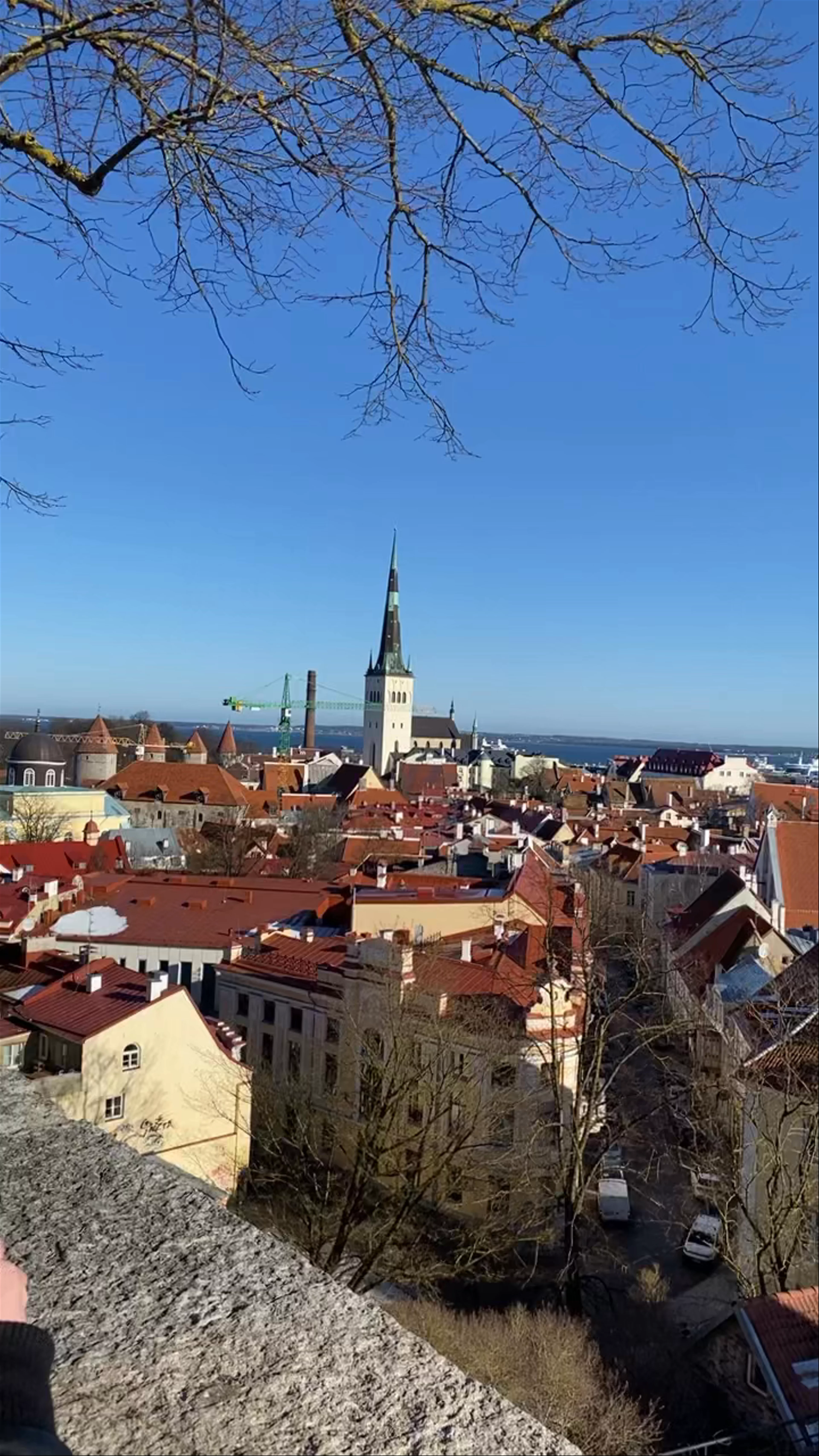 Tallinn TV Tower