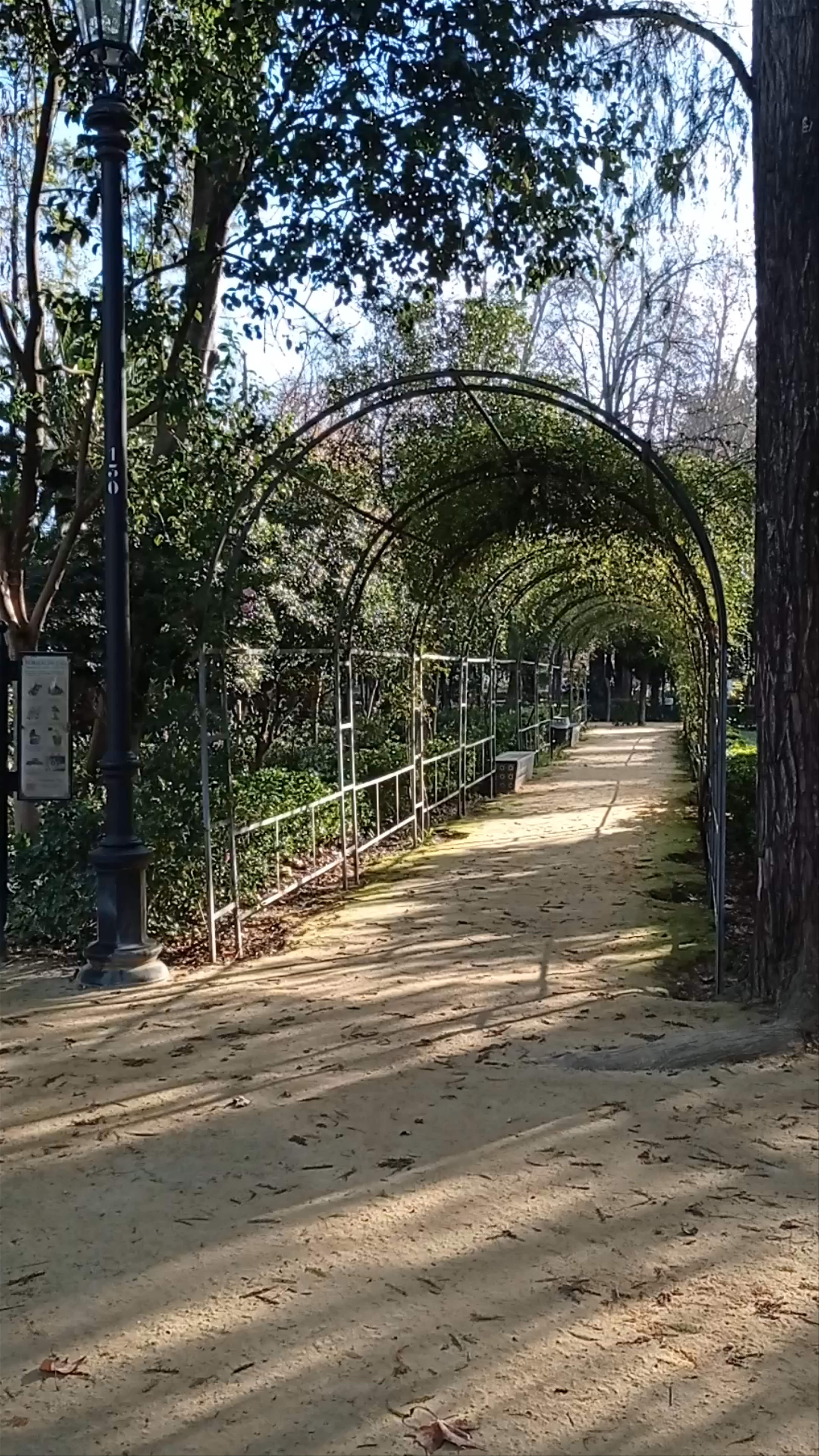 Parque de María Luisa