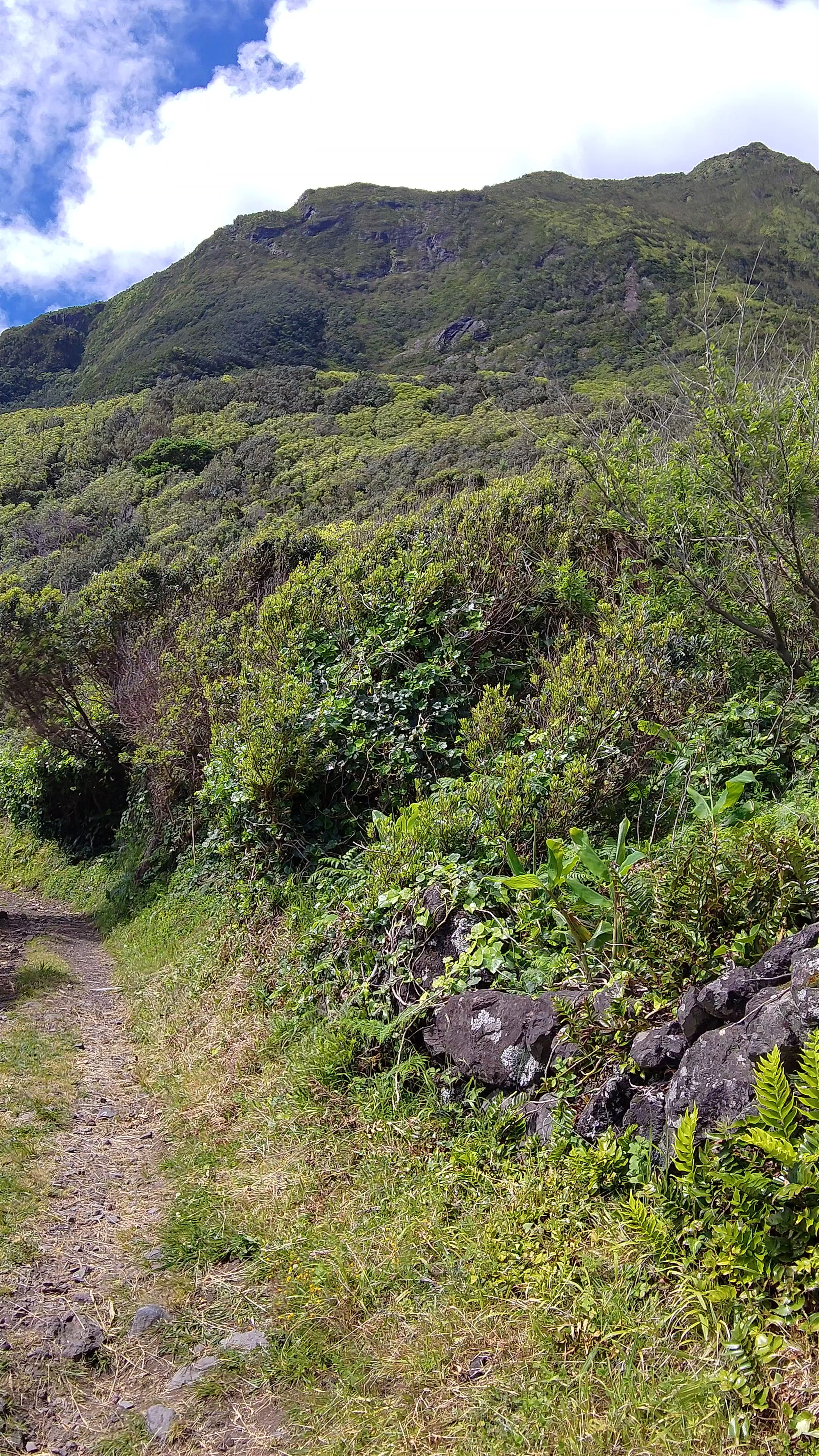 Fajã da Caldeira Santo Cristo