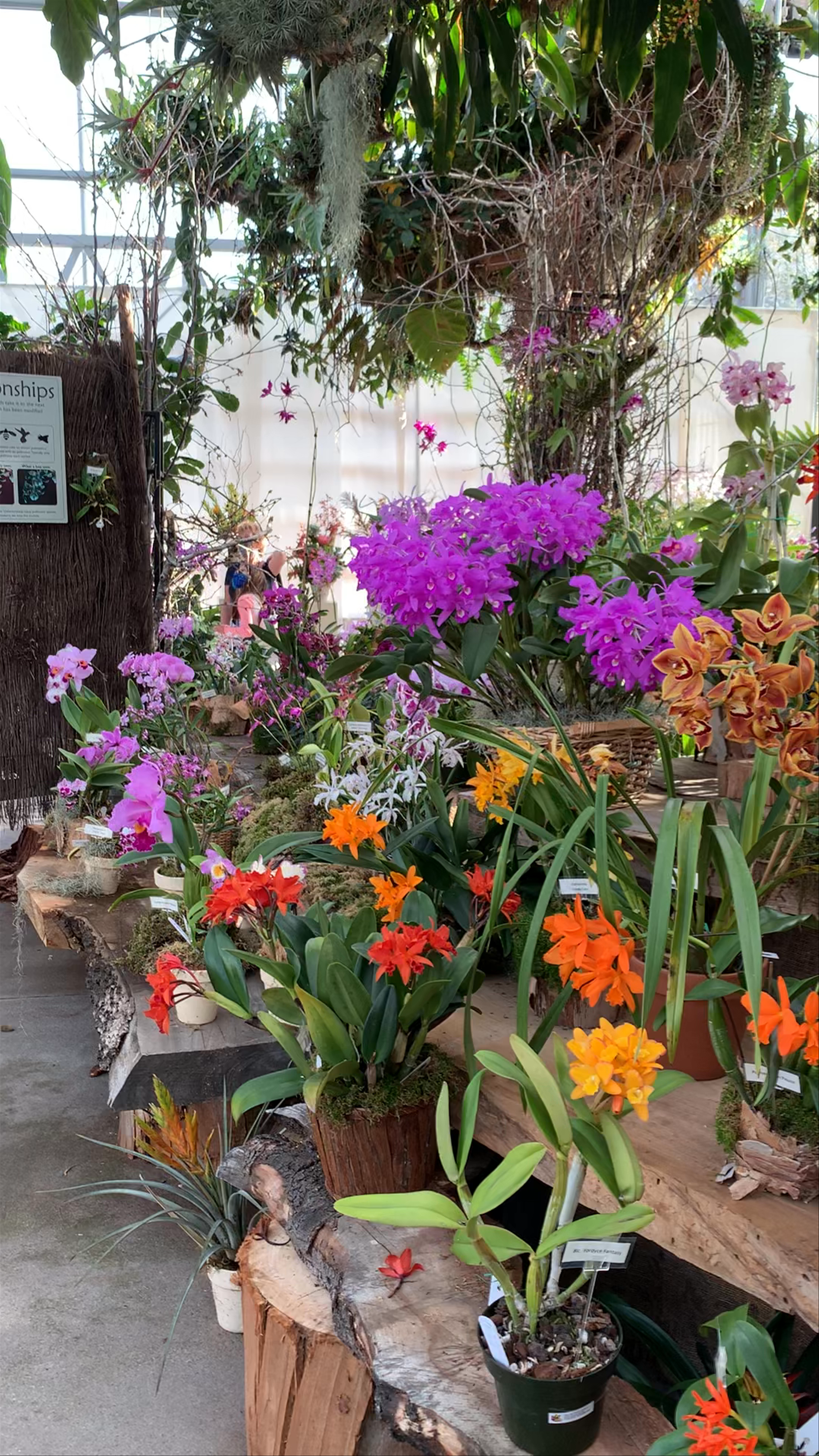 San Diego Botanic Garden