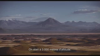 Les Survivants du Che