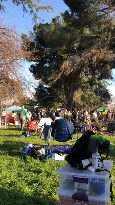 Woodley Park - It was like a dog rave - Parks Near Me - Van Nuys, California