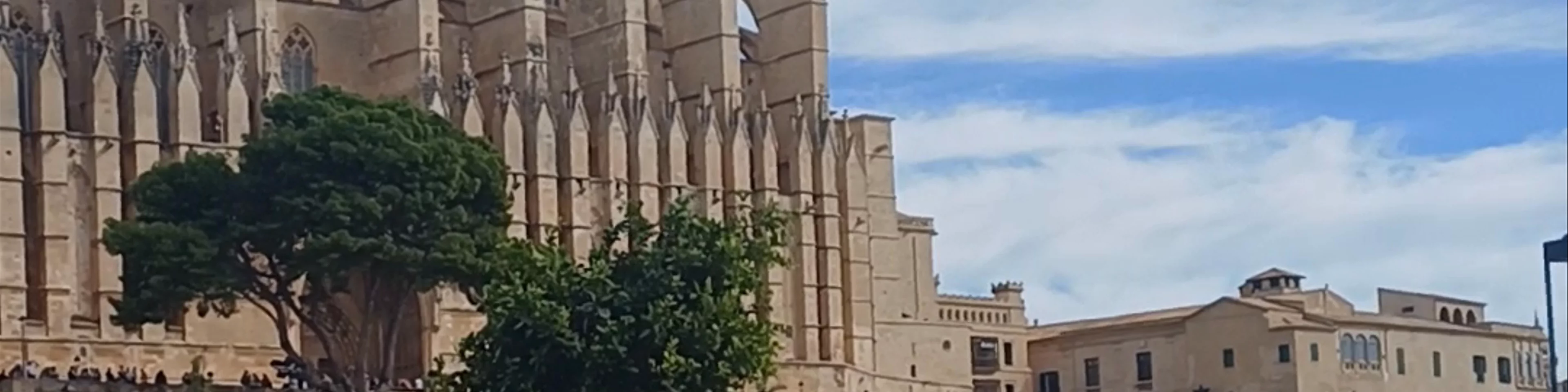 Catedral-Basílica de Santa María de Mallorca