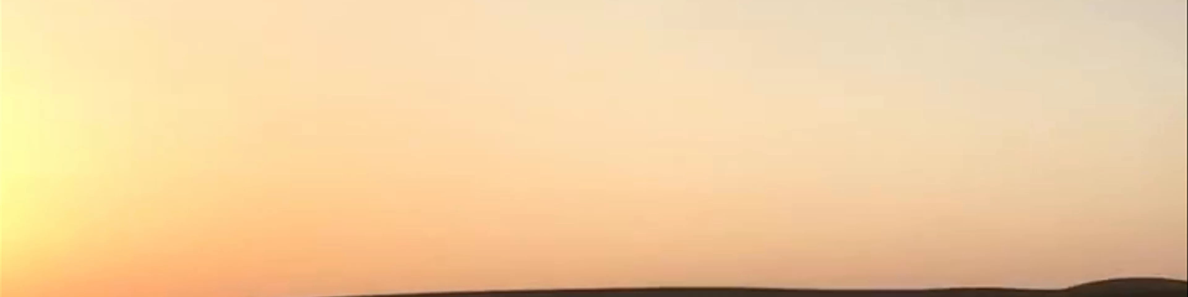 Platinum Heritage Desert camp - Dubai - United Arab Emirates