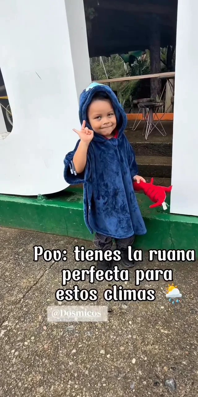 Contenido del creador